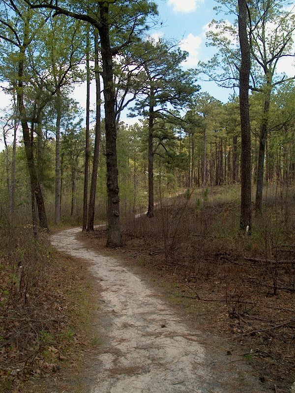 Weymouth Woods-Sandhills Nature Preserve State Park