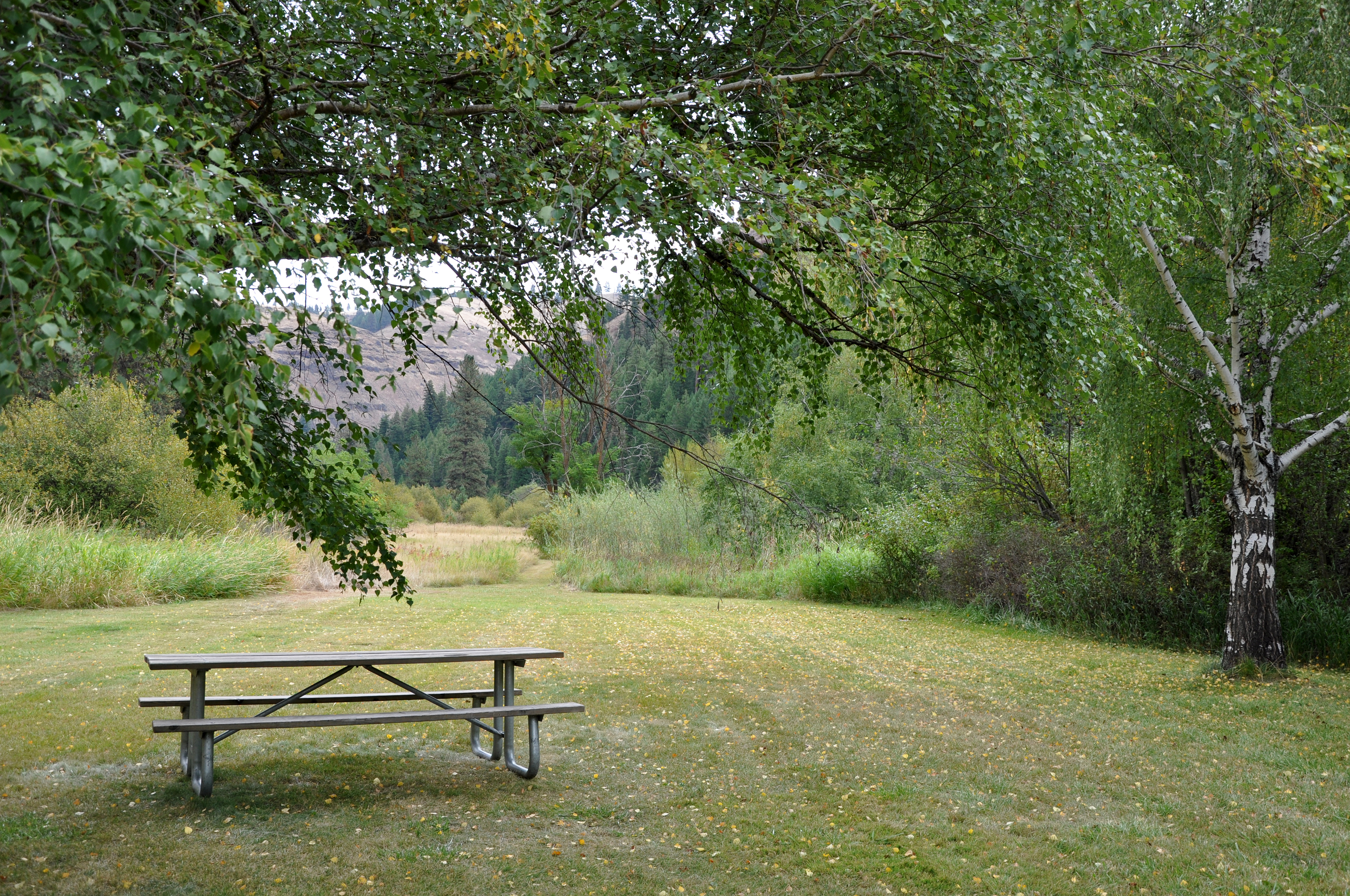 Wallowa River Rest Area State Park