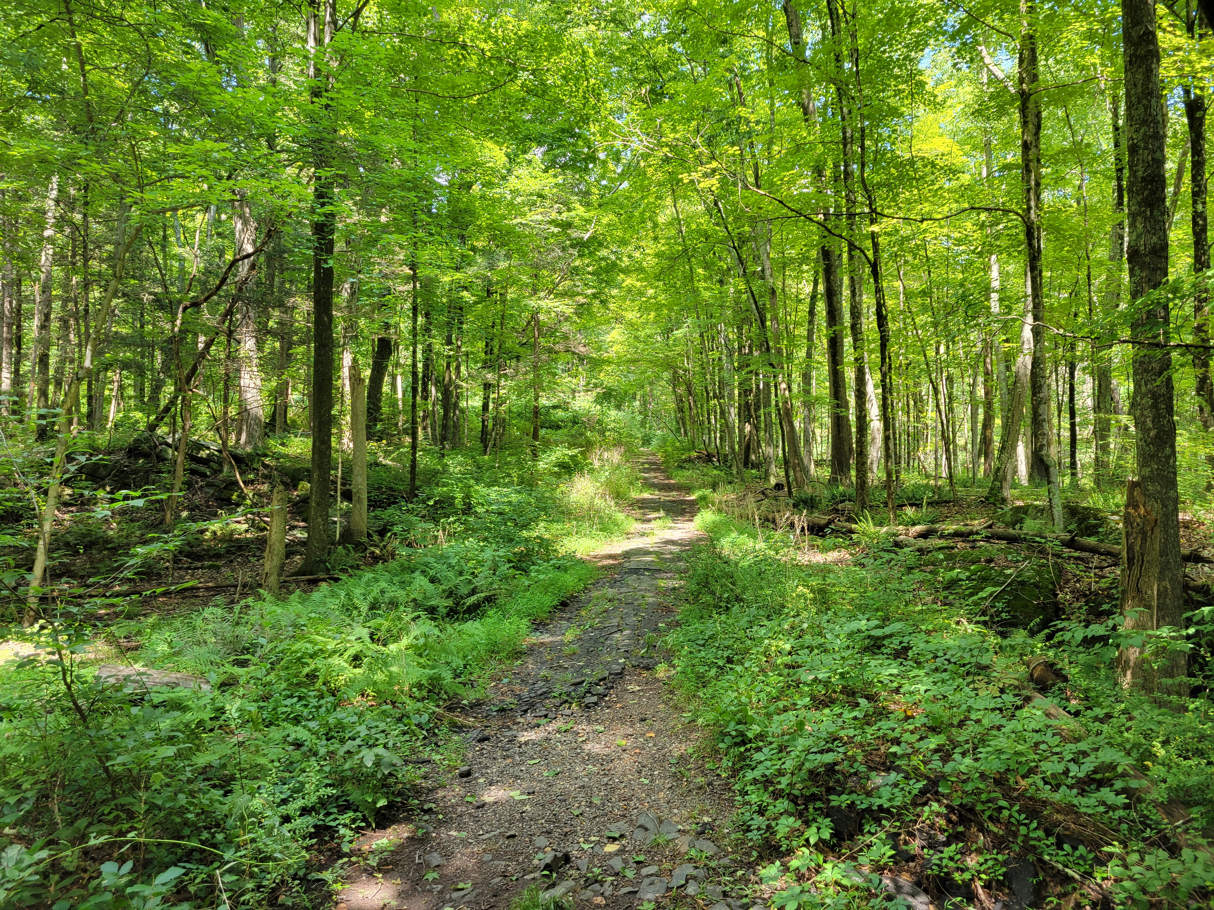 George Dudley Seymour State Park