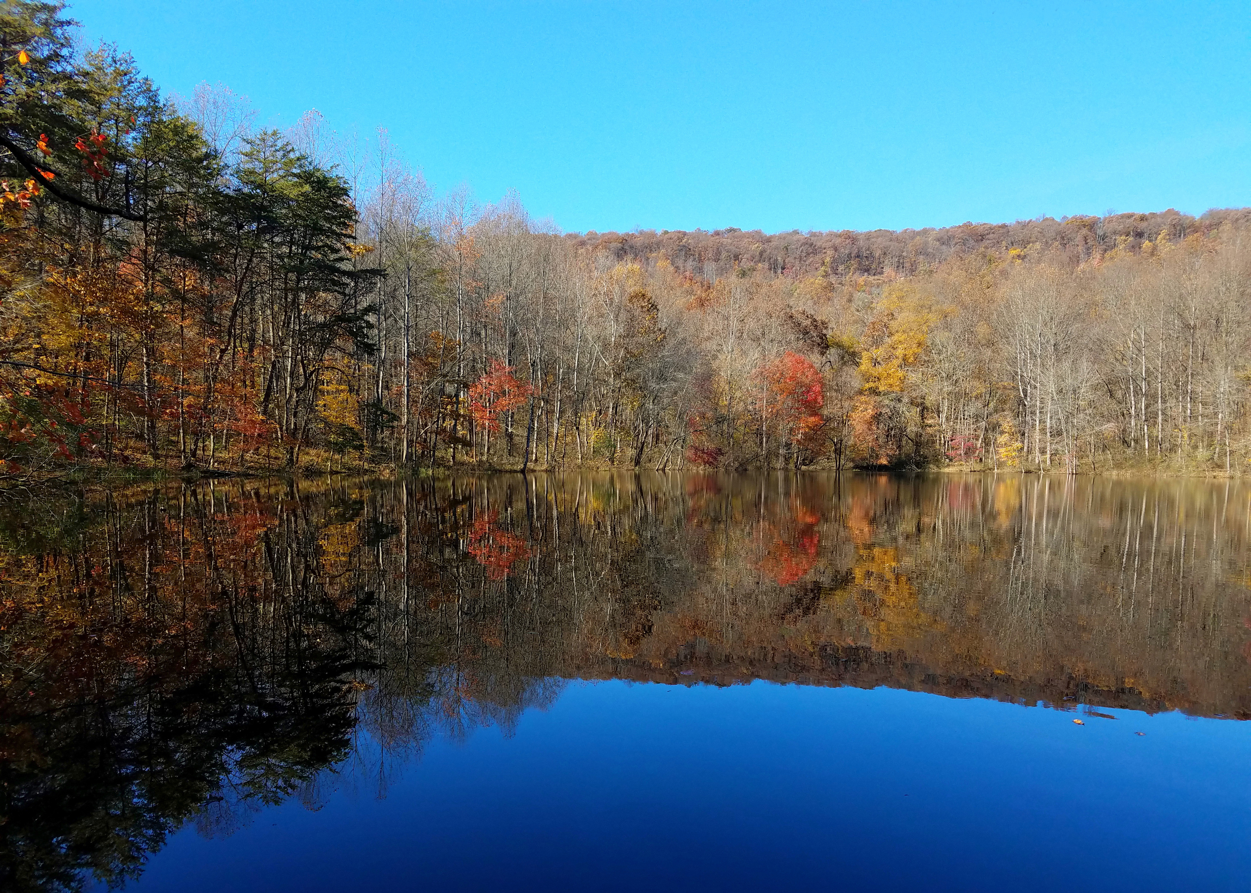 Sweet Run State Park
