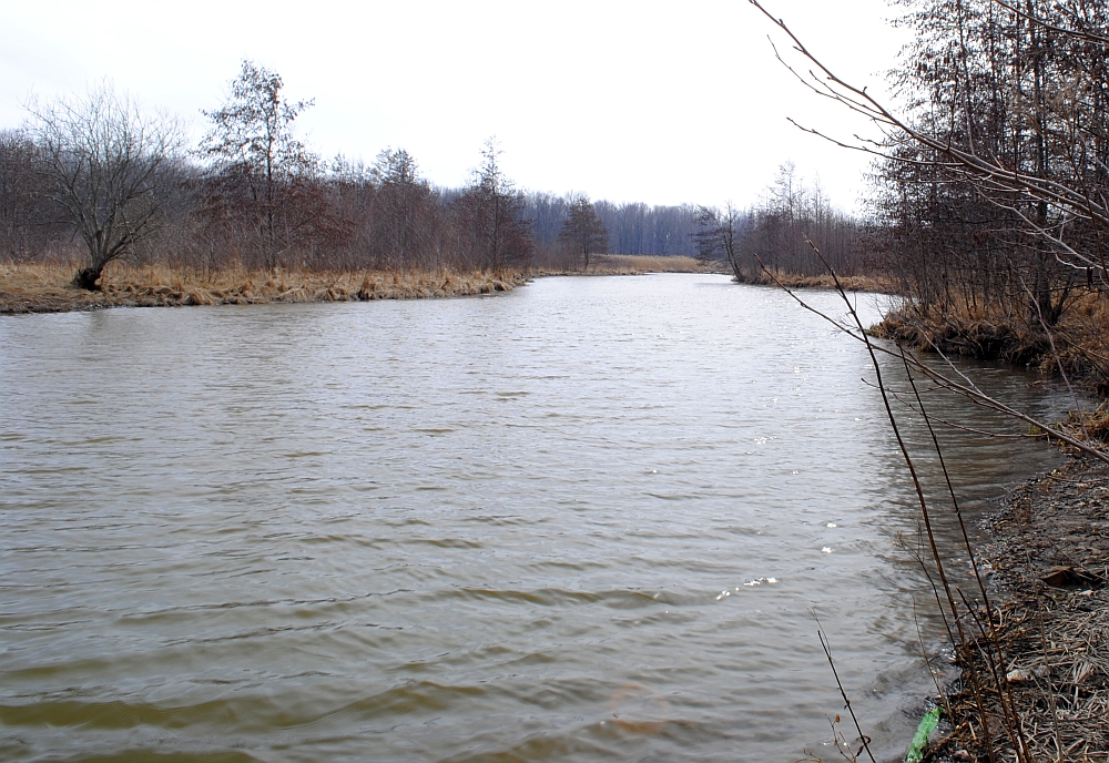Buckhorn Island State Park