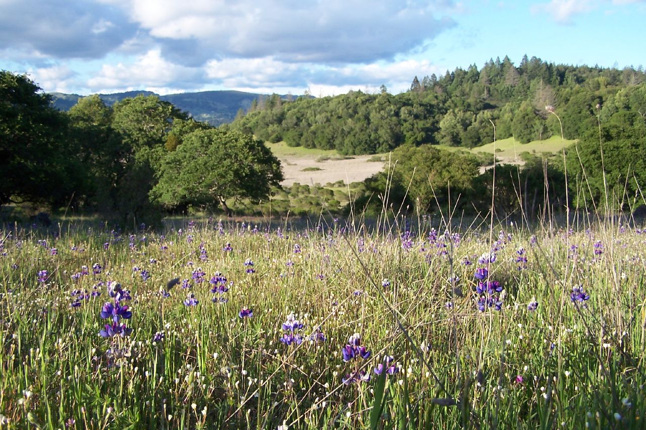 Trione-Annadel State Park
