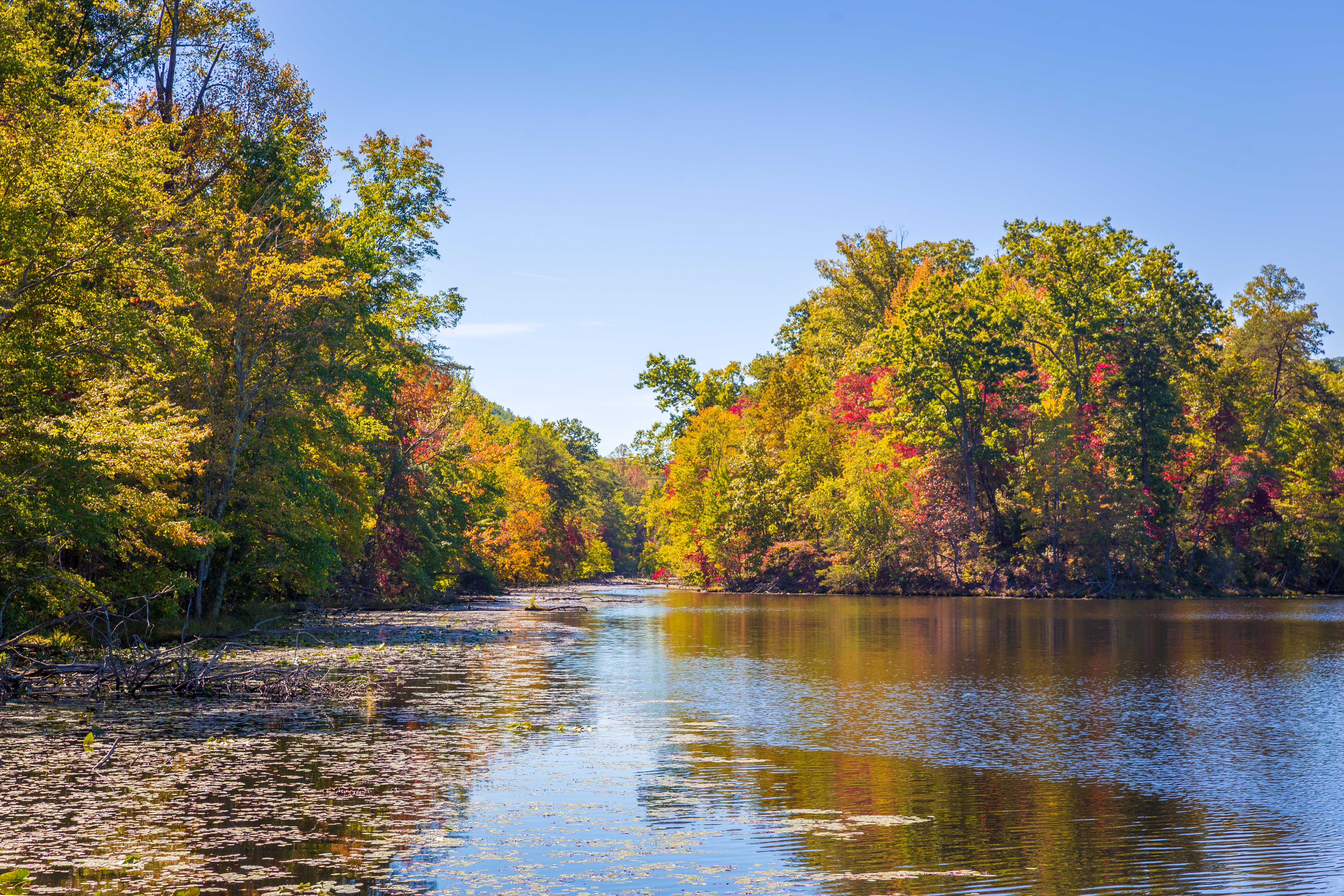 Bays Mountain State Natural Area State Park