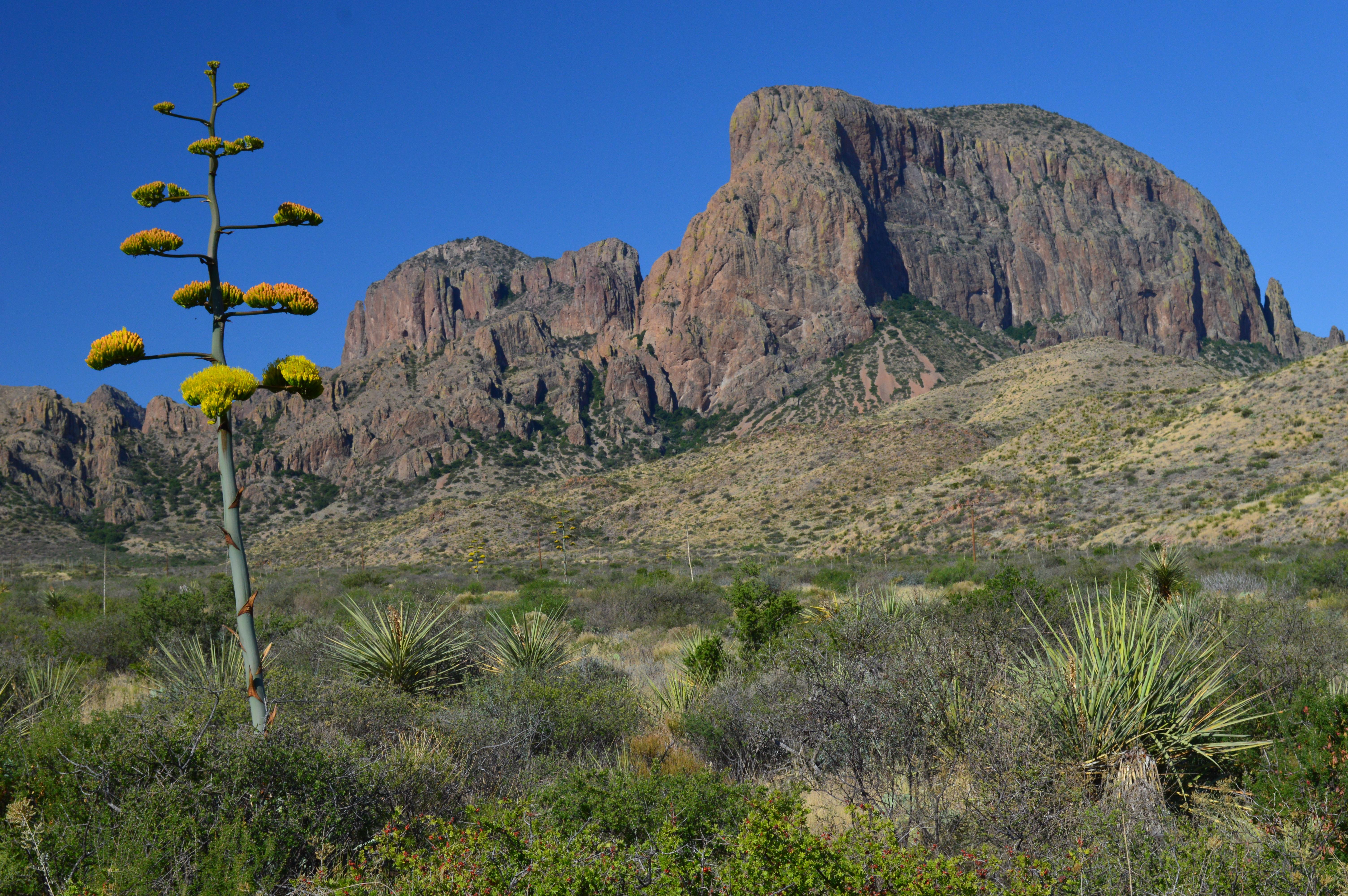 Big Bend National Park