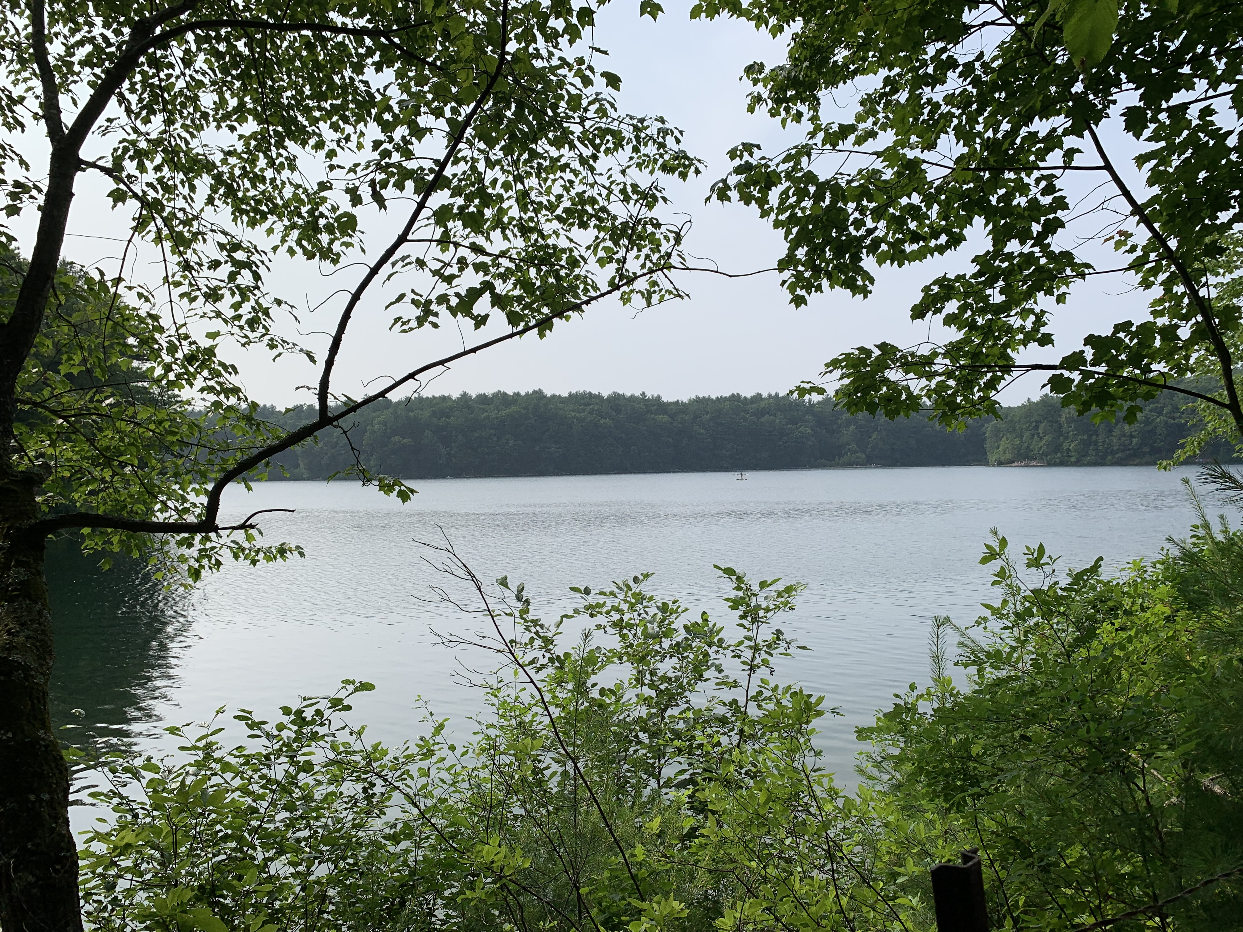 Walden Pond State Reservation State Park