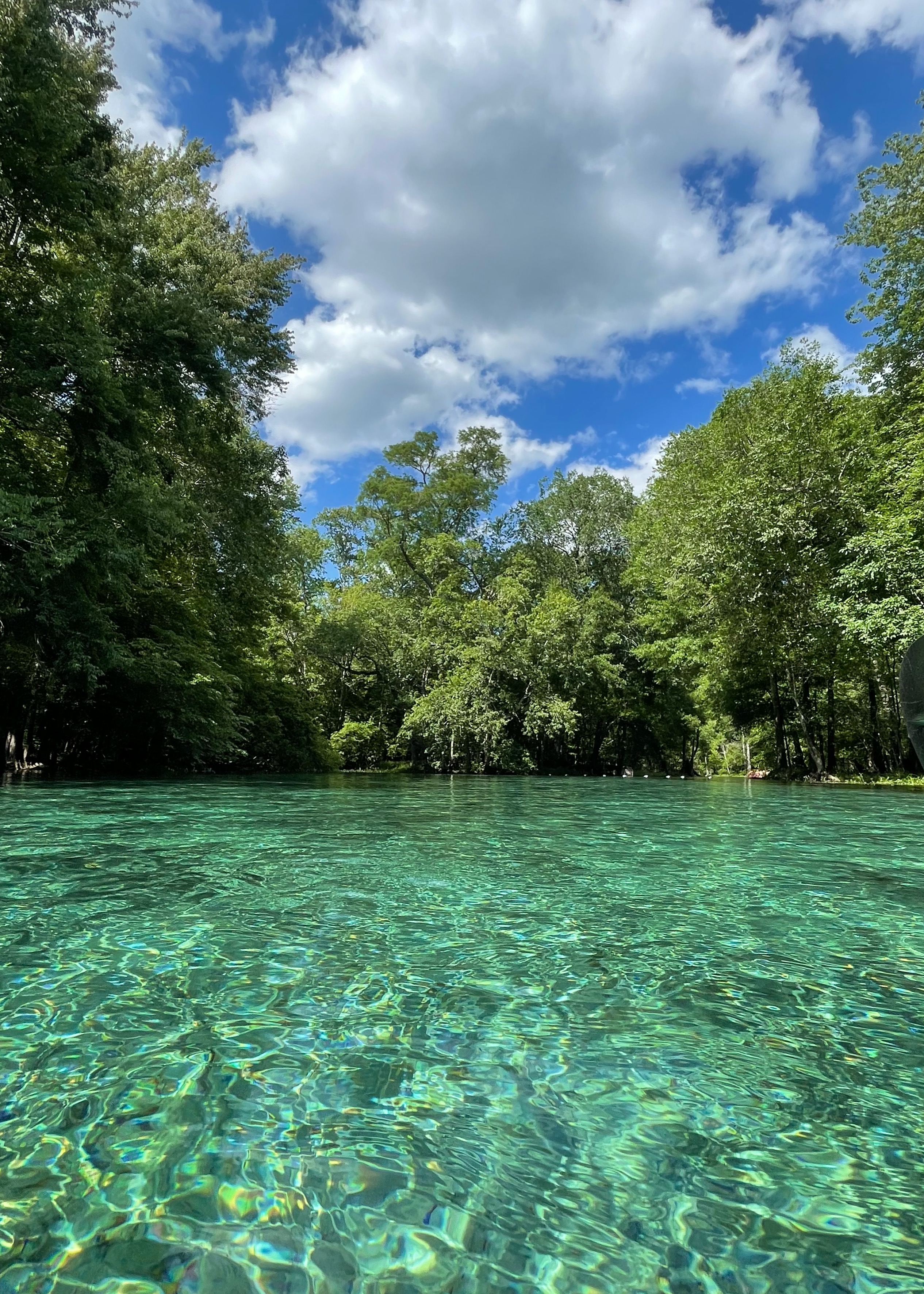Gilchrist Blue Springs State Park