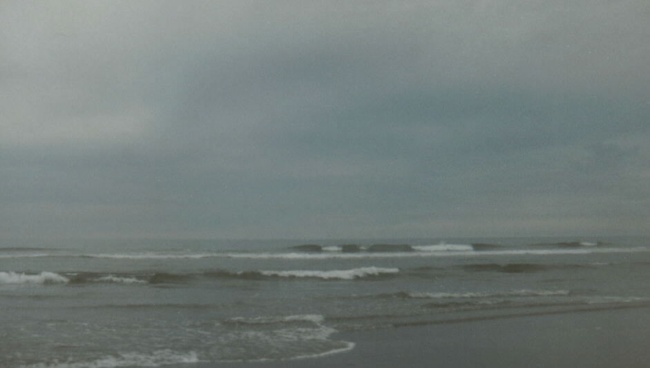 Twin Harbors State Park