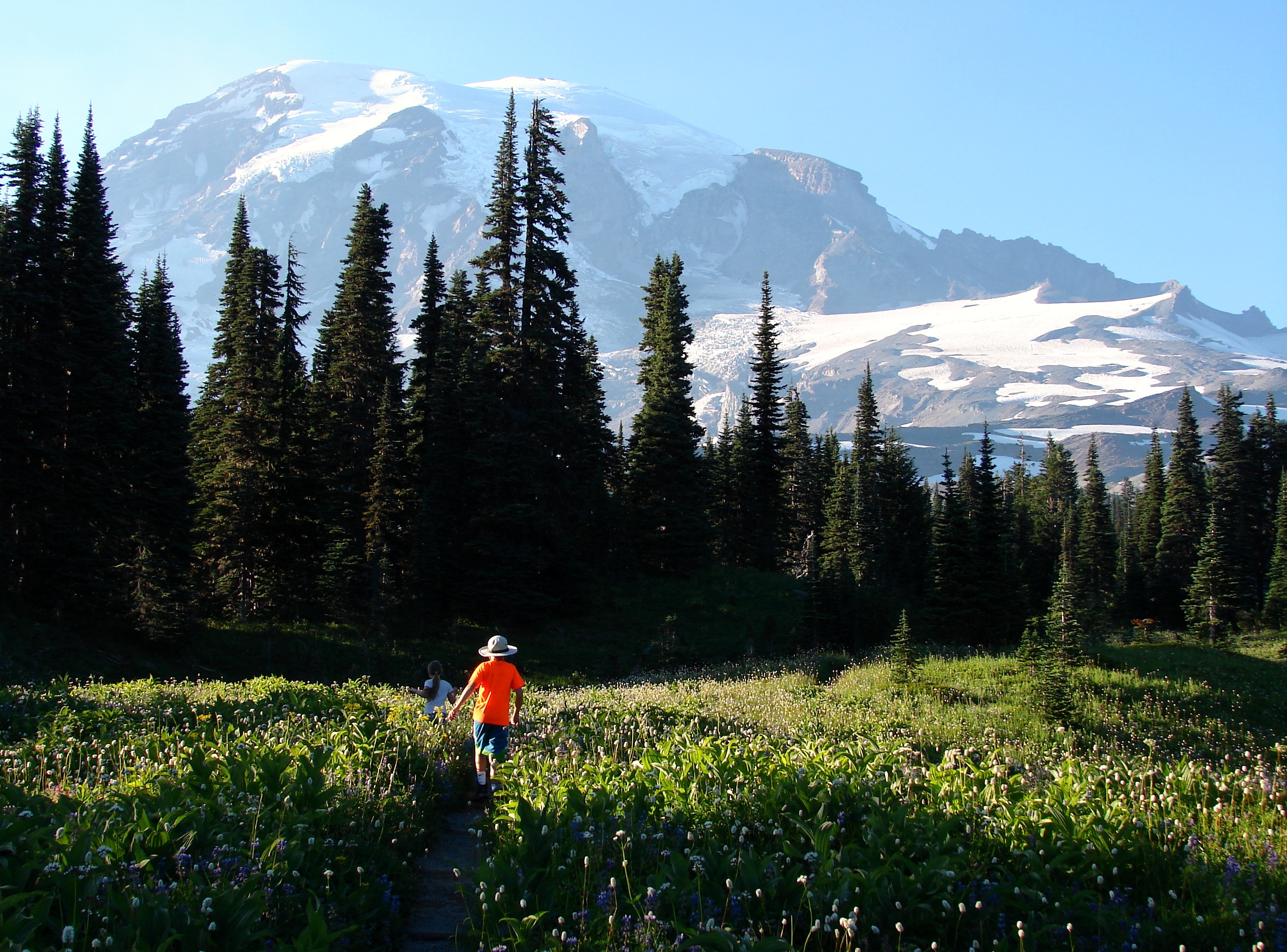 Mount Rainier National Park