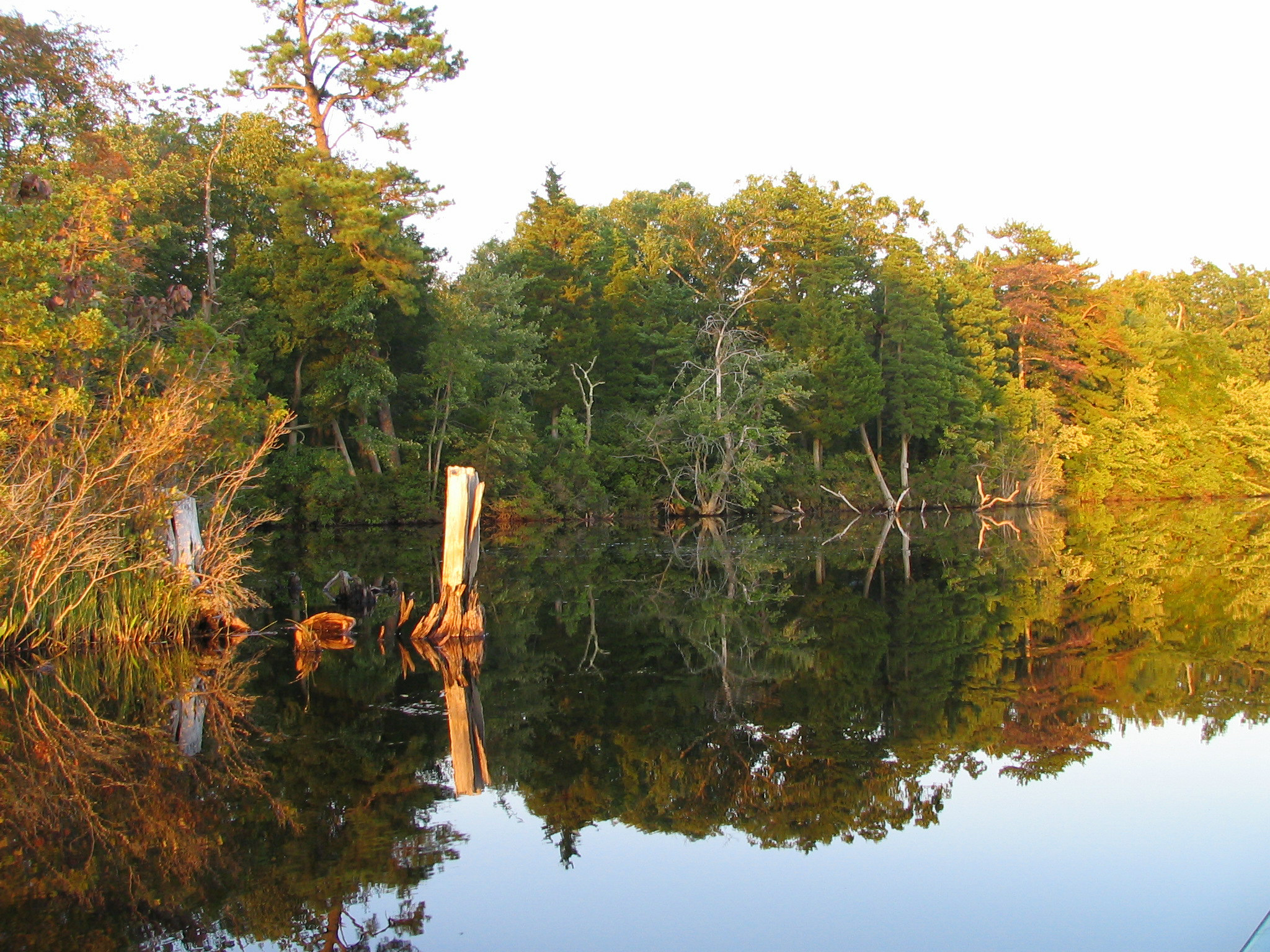 Atsion Recreation Area State Park