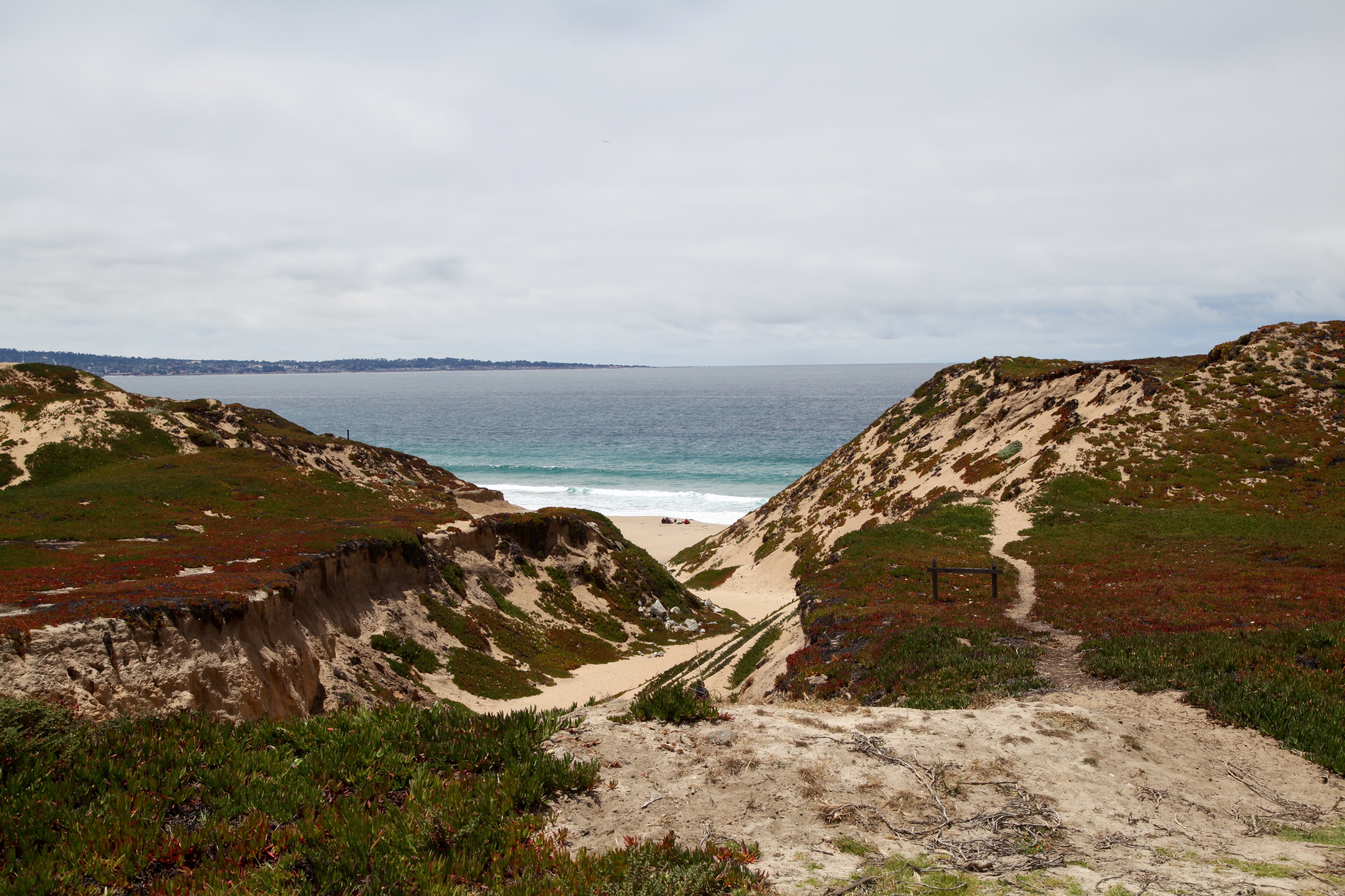 Fort Ord Dunes State Park