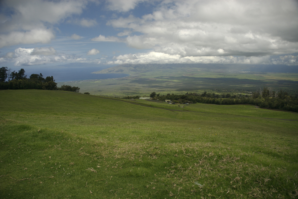 Polipoli Spring State Recreation Area State Park