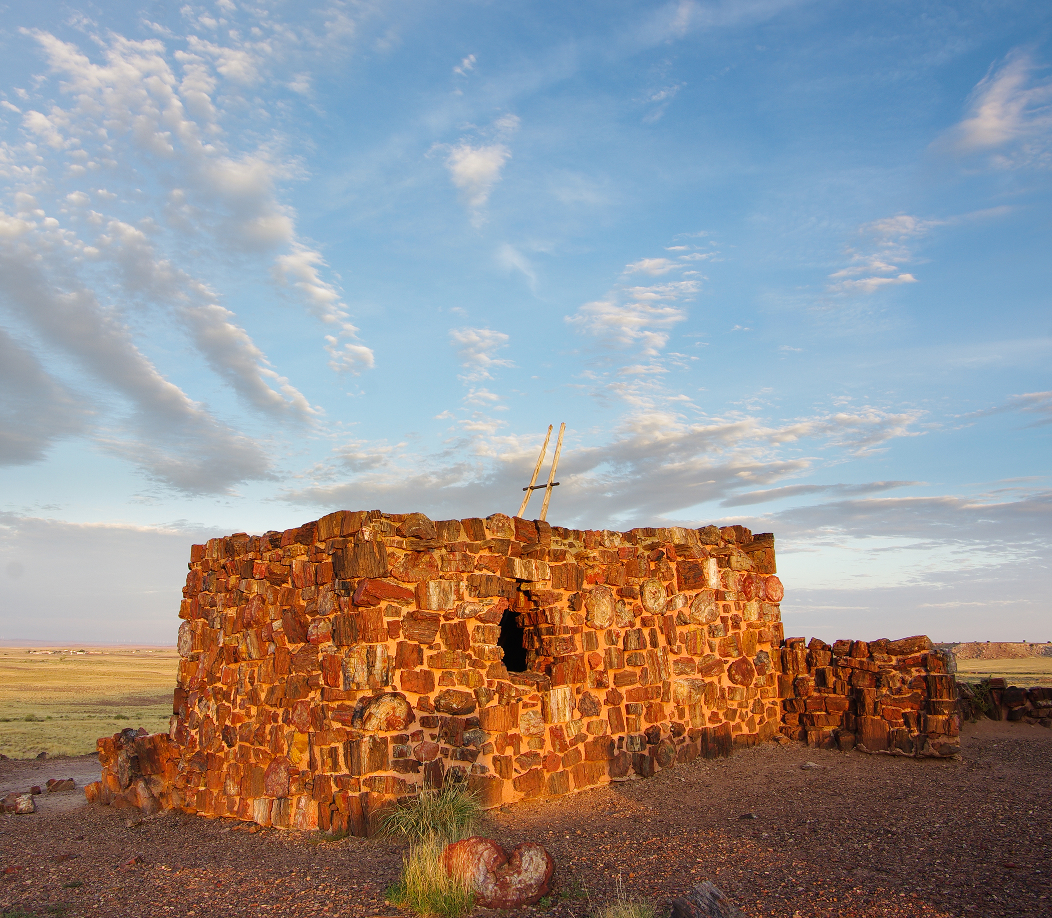 Petrified Forest National Park