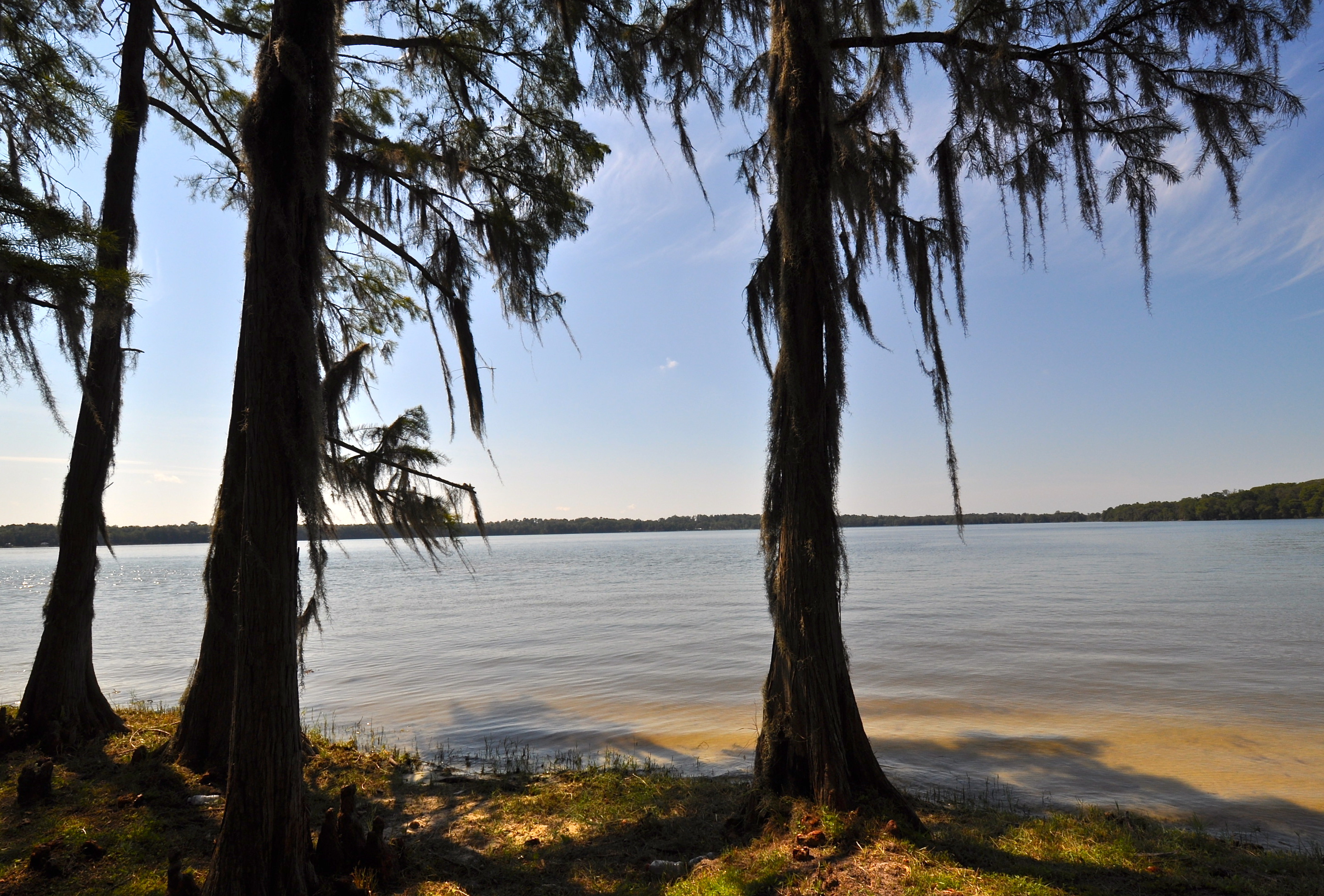 Florala City Park State Park