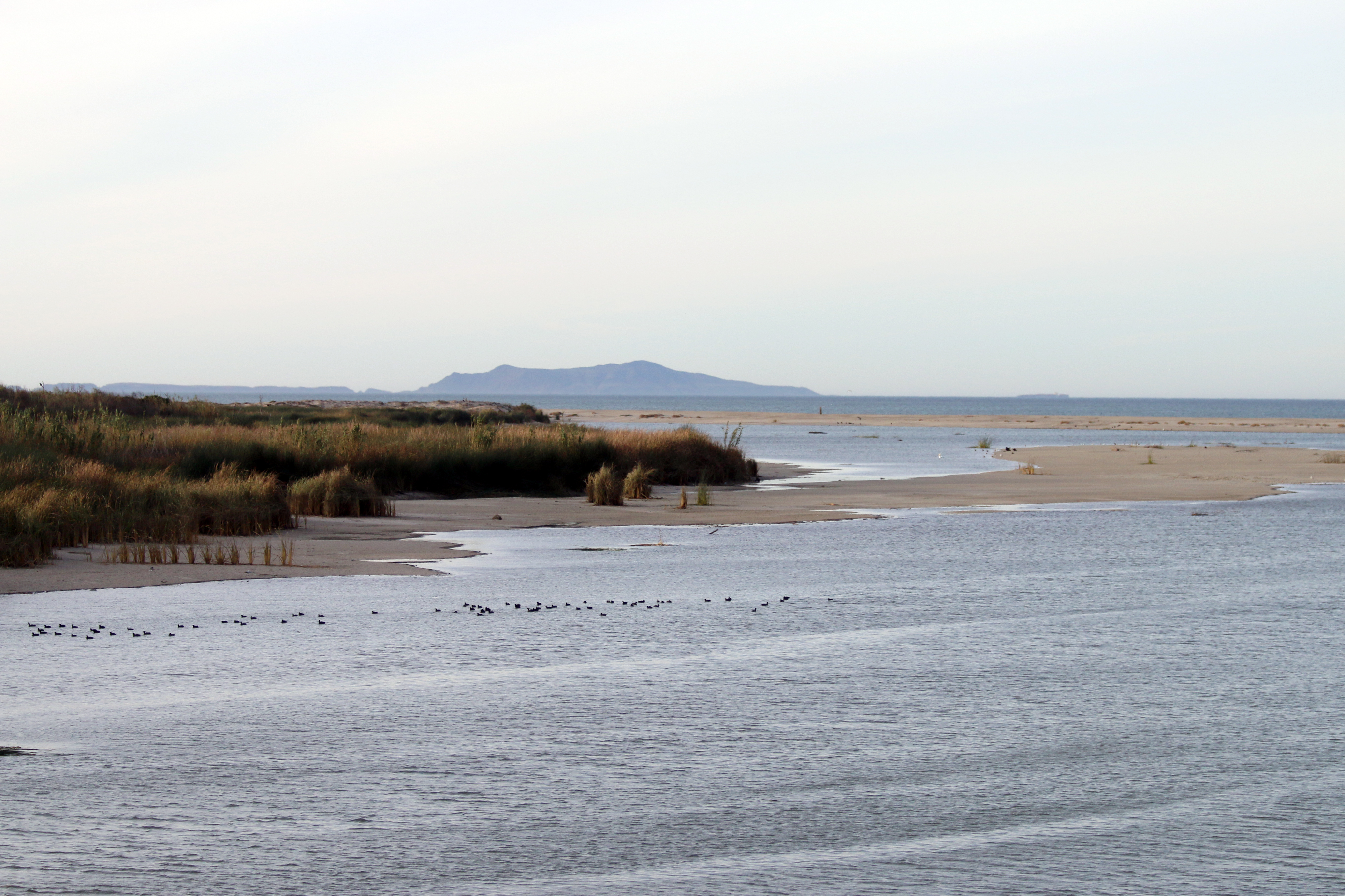 McGrath State Beach State Park