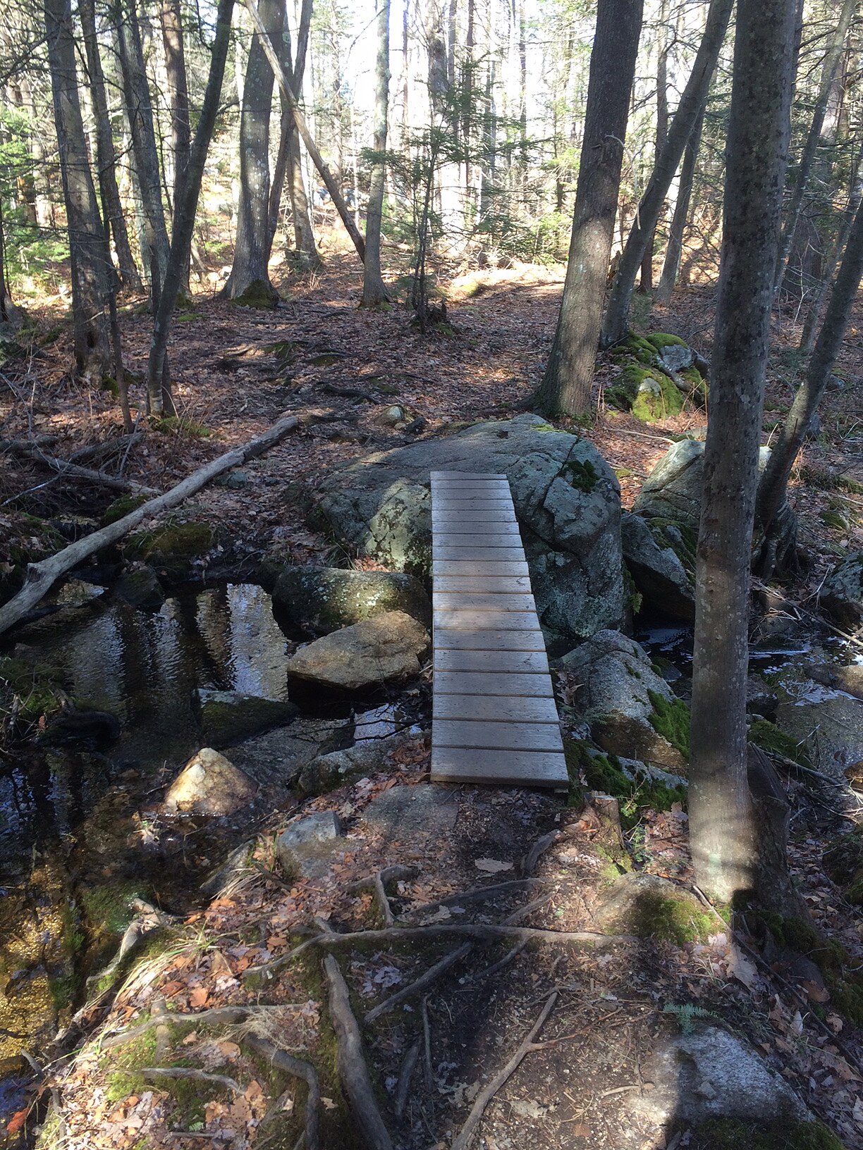 Harold Parker State Forest State Park