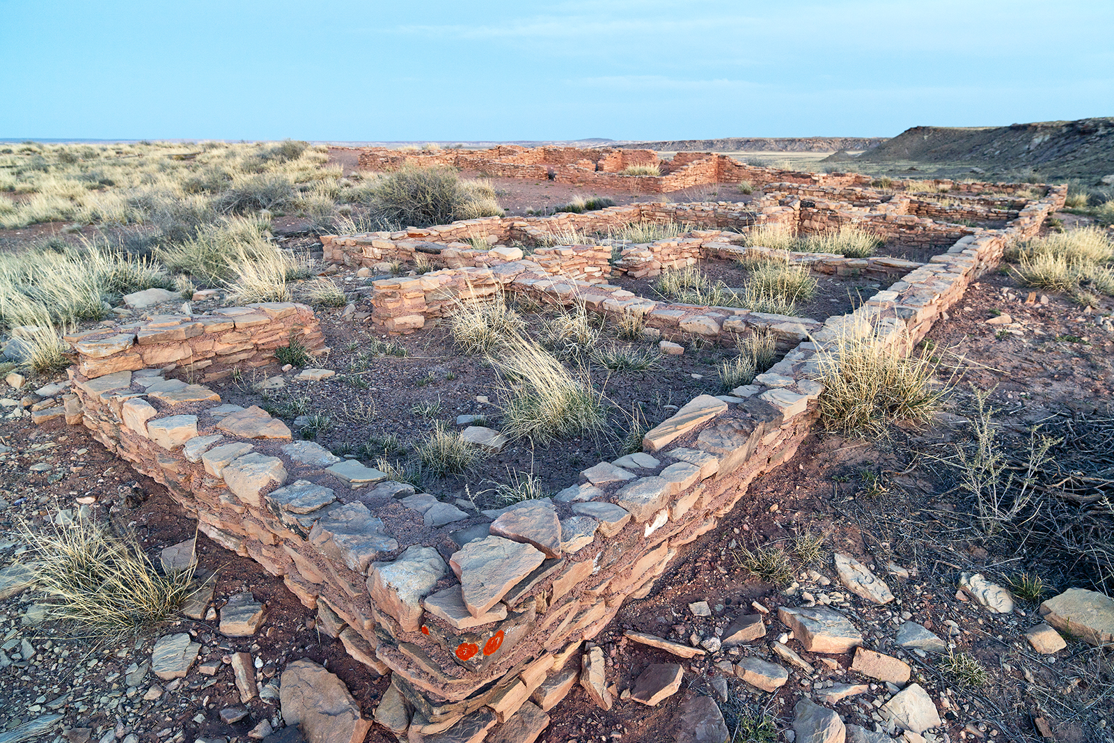 Petrified Forest National Park