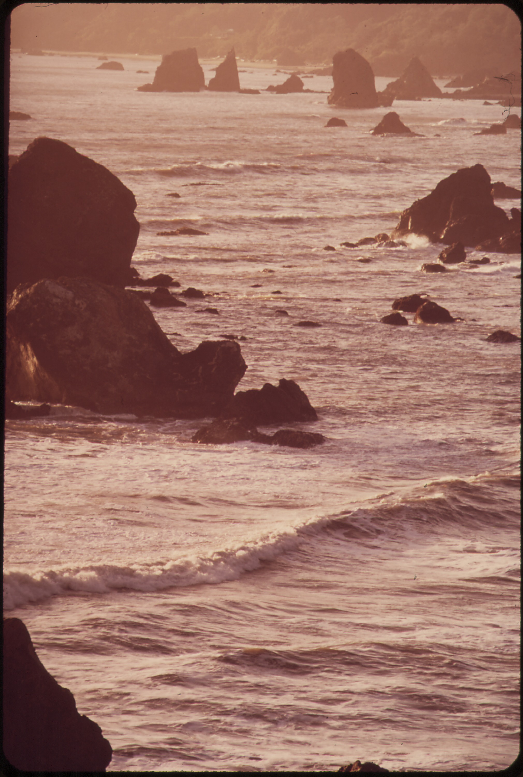 Cambria State Marine Conservation Area State Park