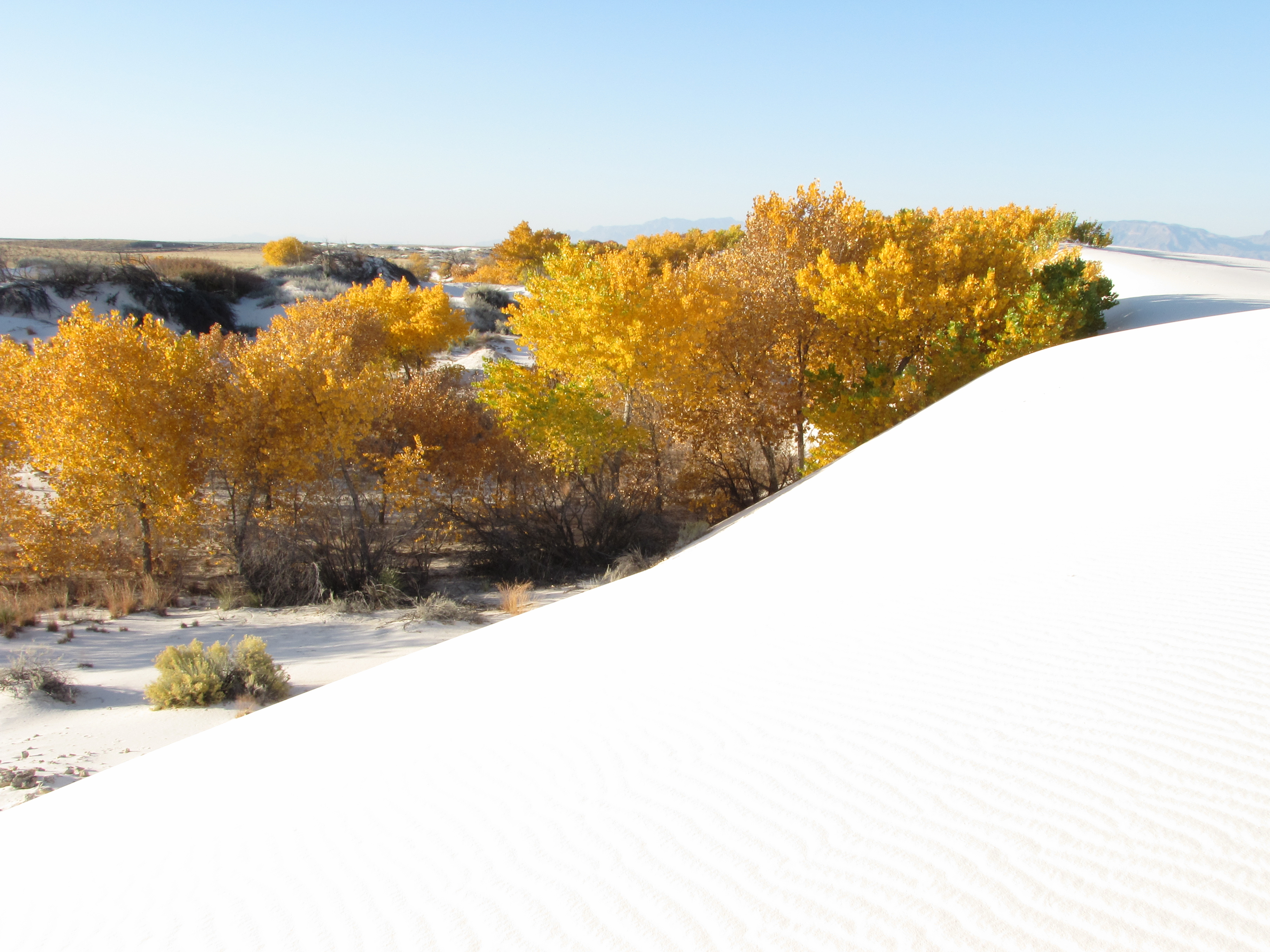 White Sands National Park