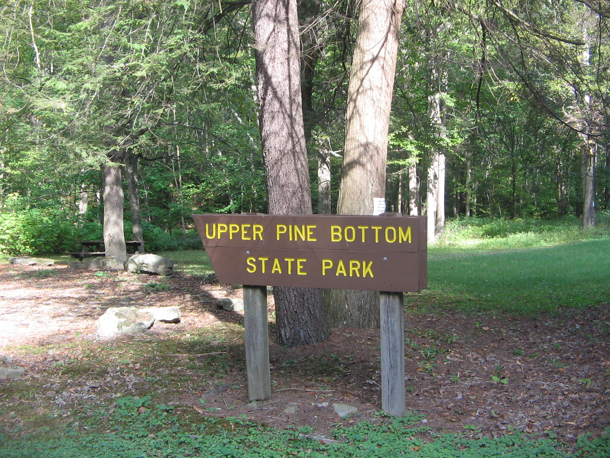 Upper Pine Bottom State Park