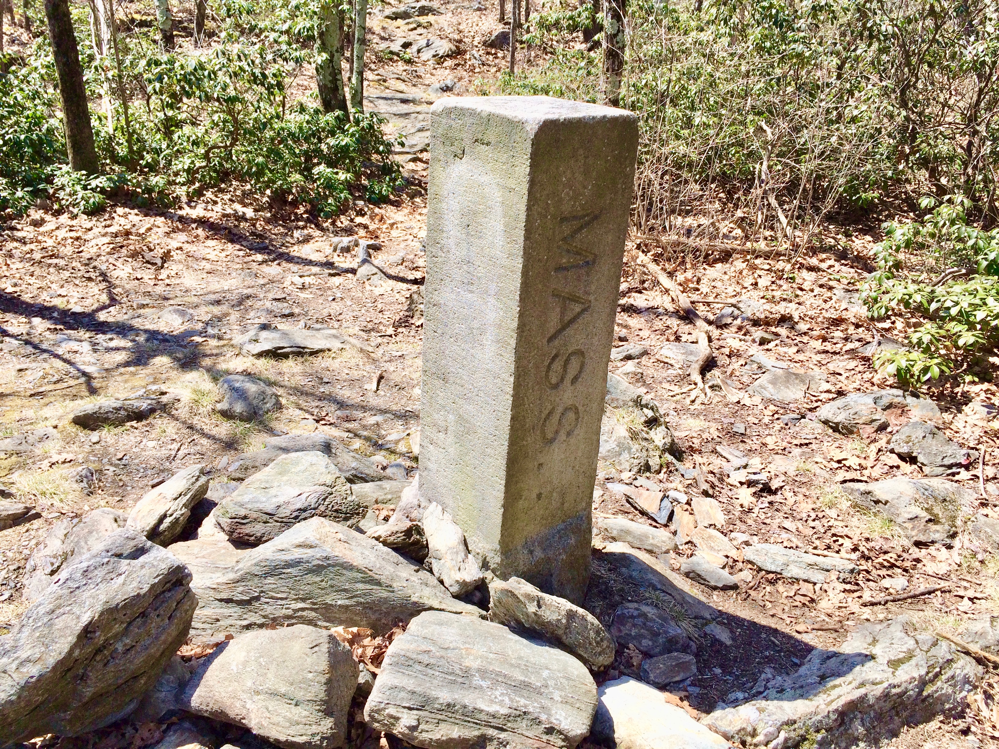 Mount Washington State Forest State Park