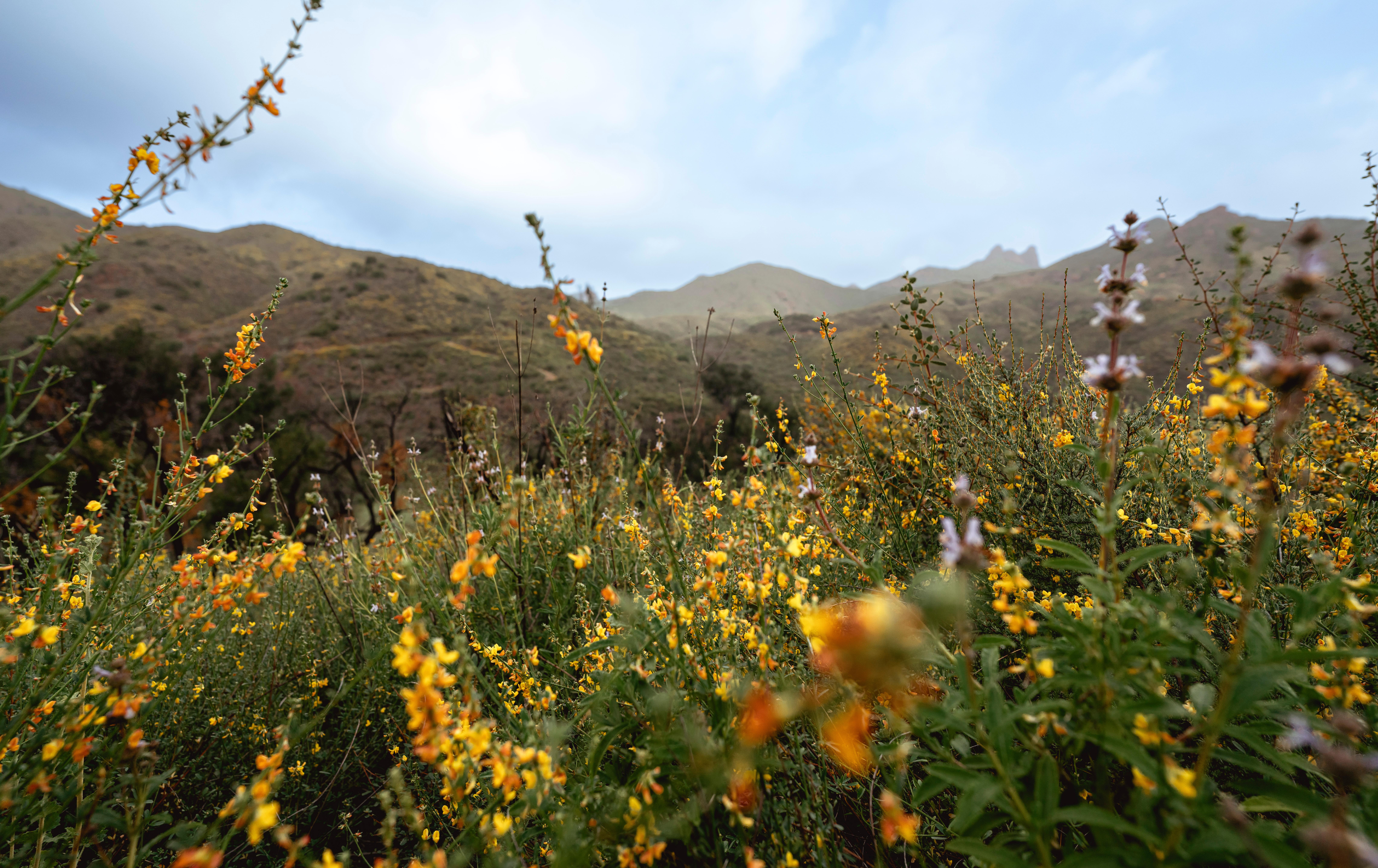 Santa Monica Mountains National Recreation Area