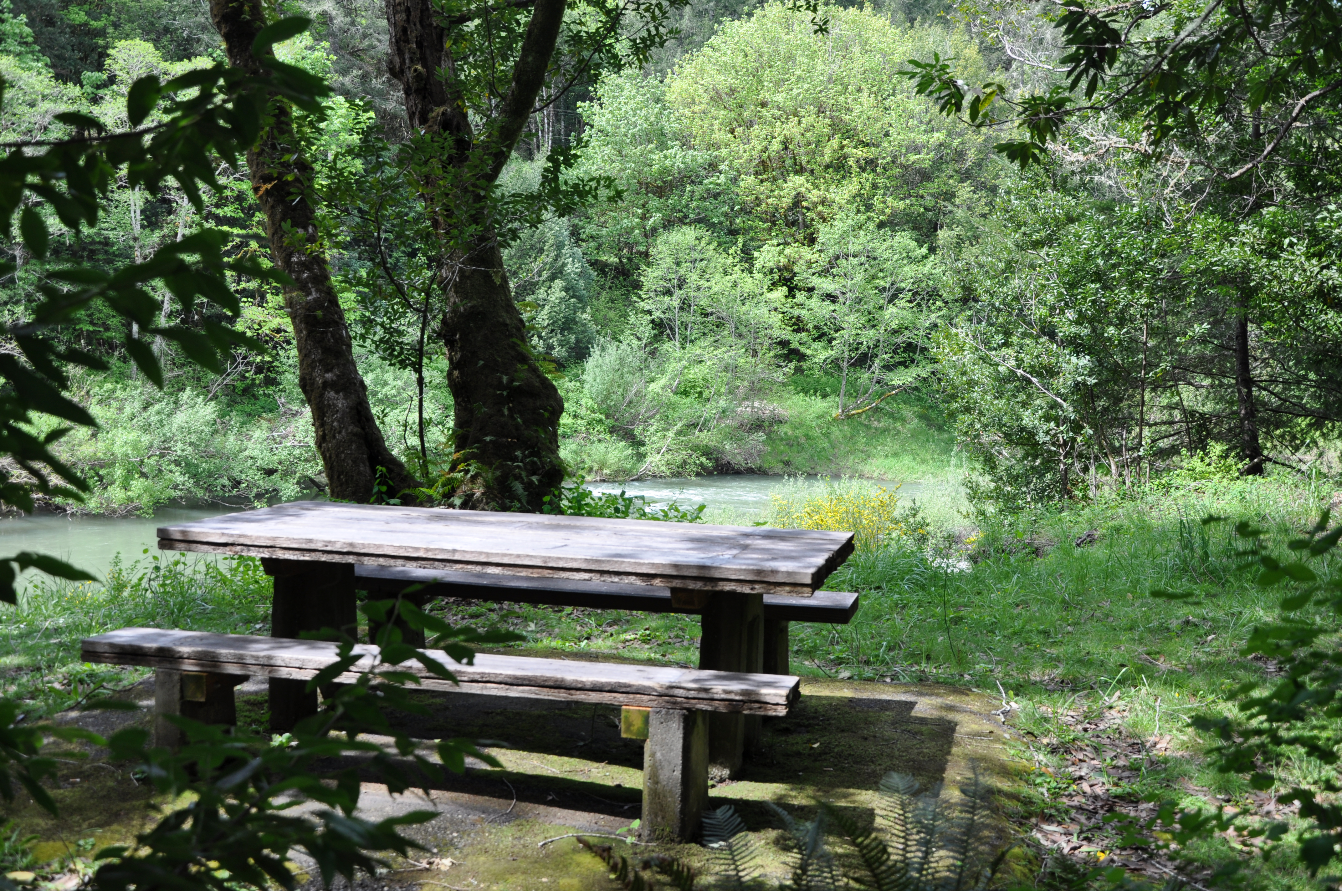 Coquille Myrtle Grove State Natural Site State Park