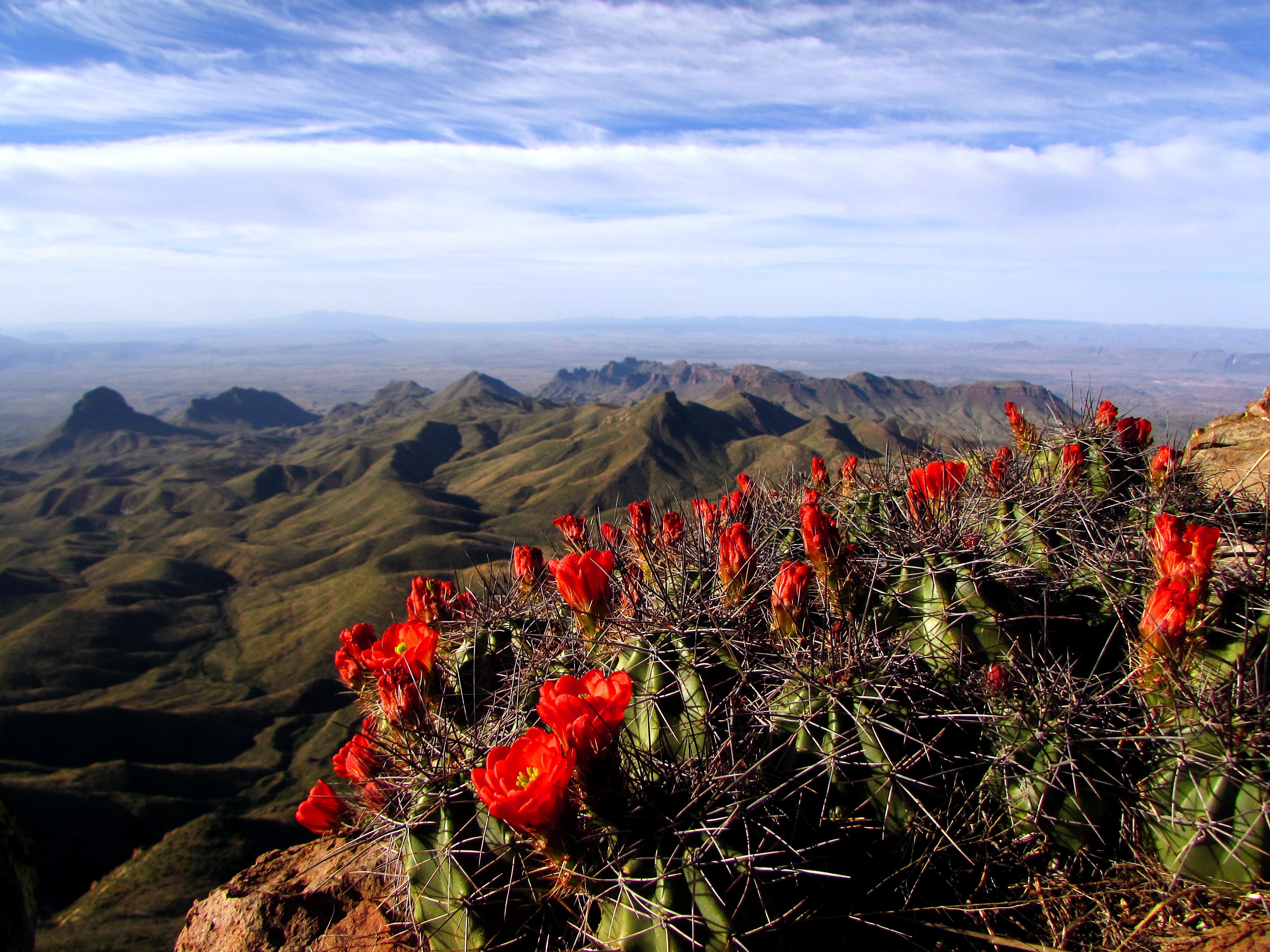 Big Bend National Park