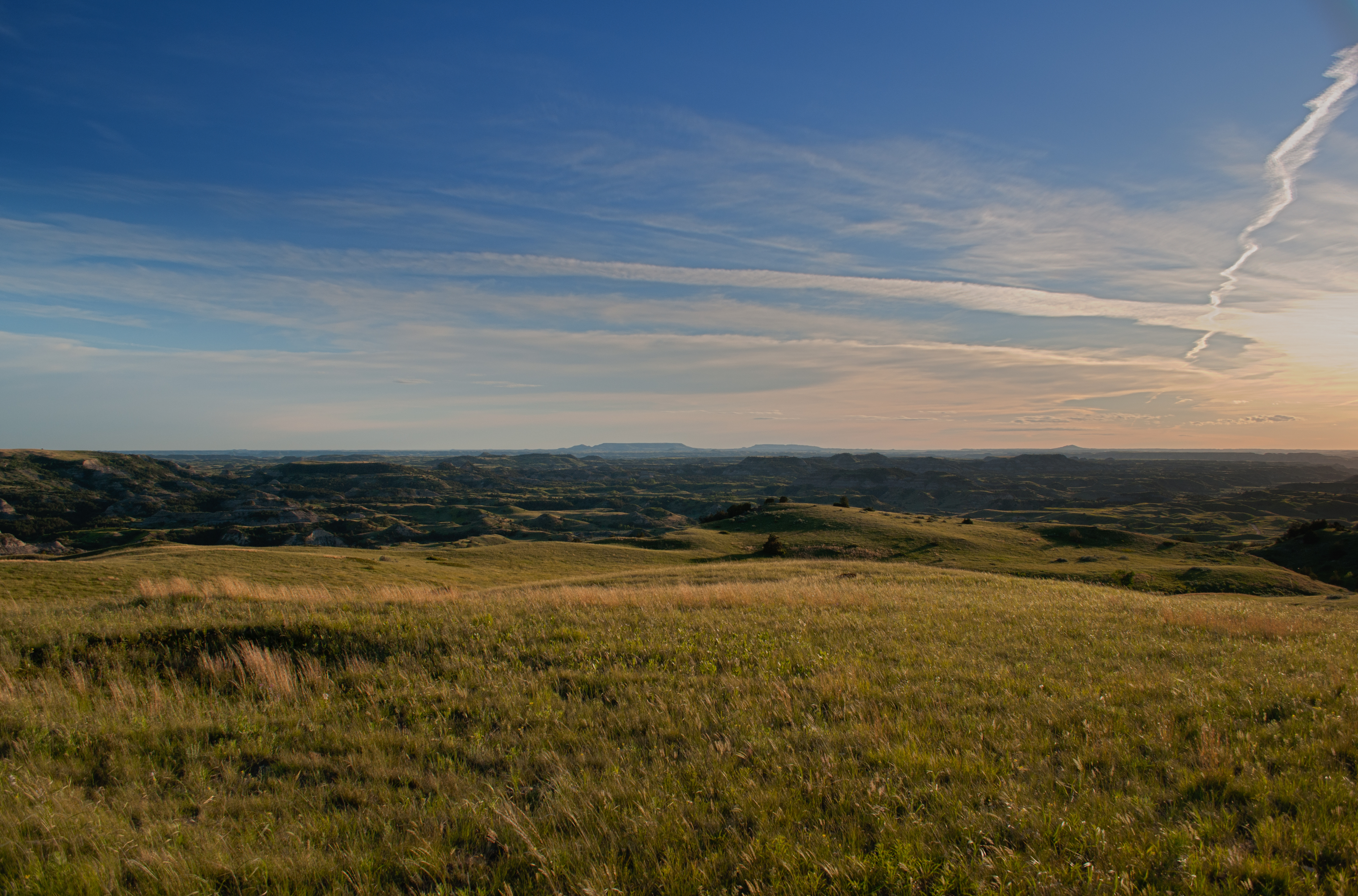 Theodore Roosevelt National Park