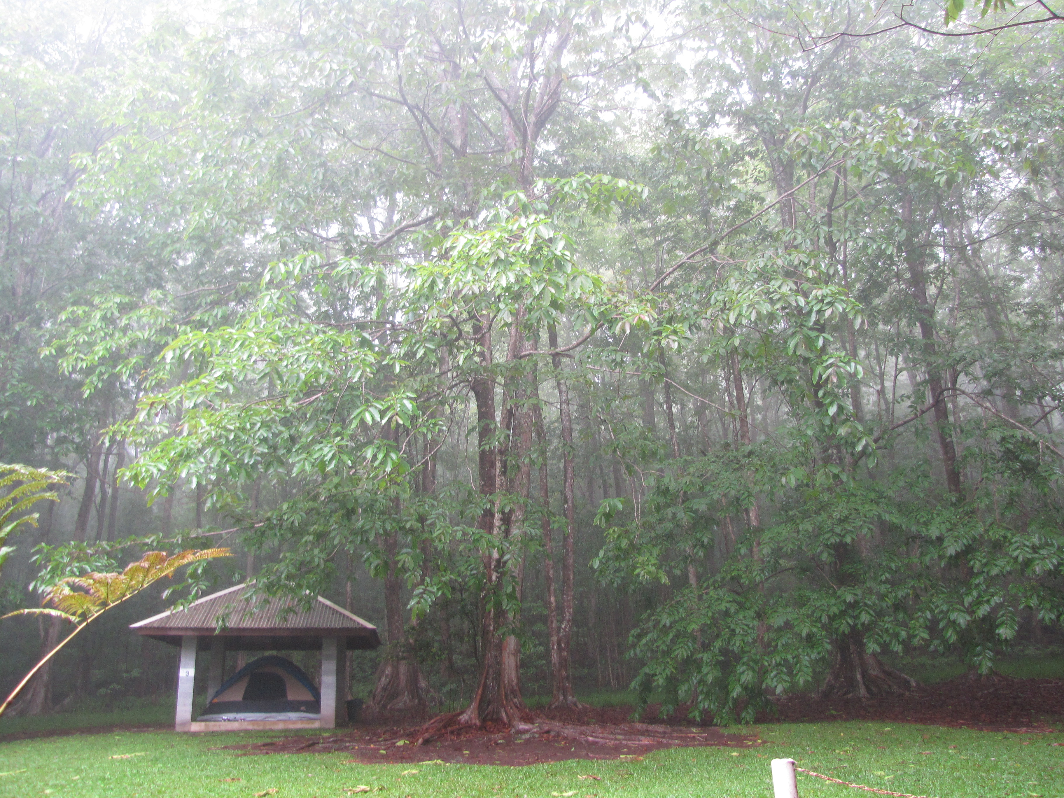 Kalopa State Recreation Area State Park