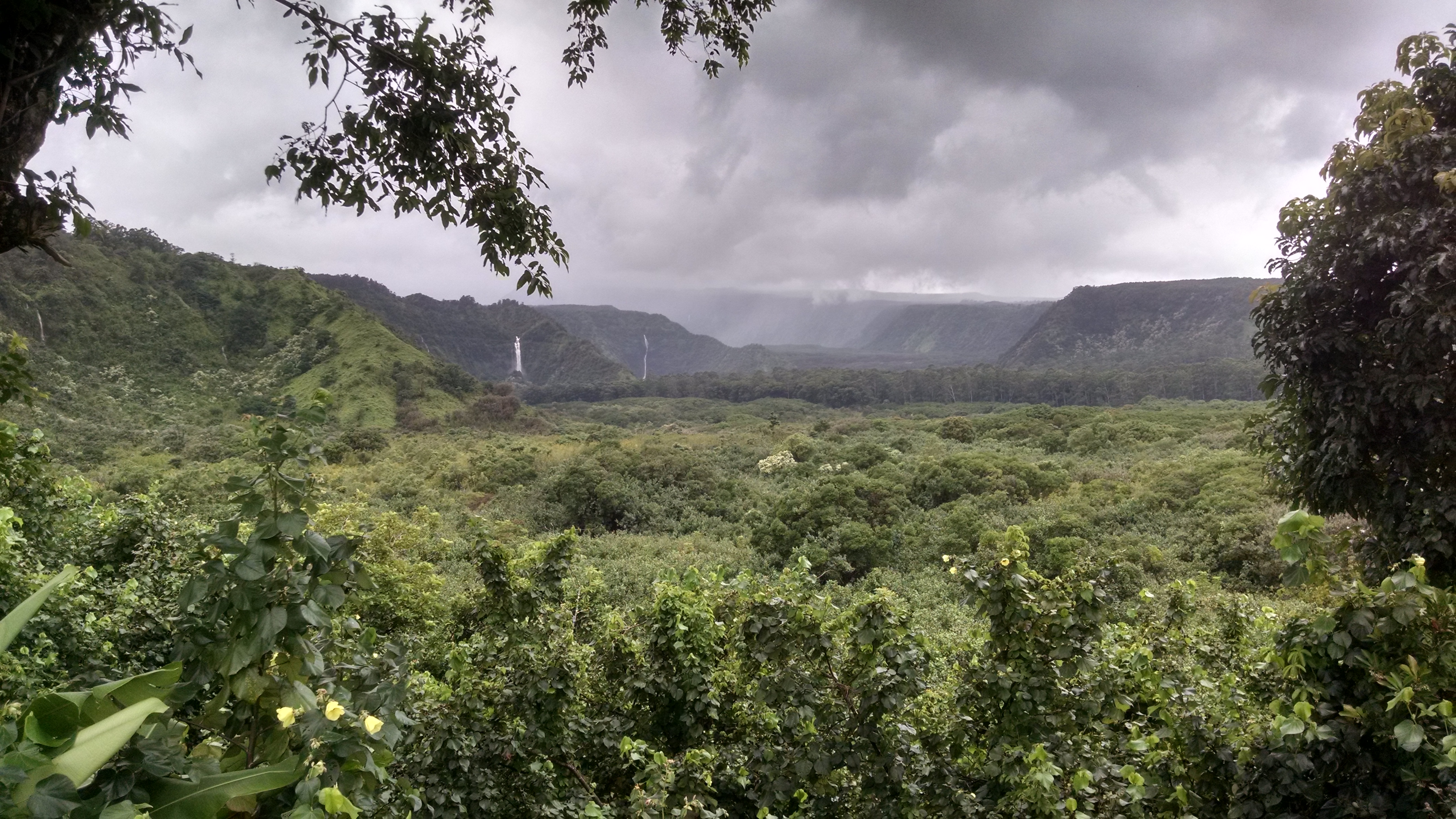 Wailua Valley State Wayside Park State Park