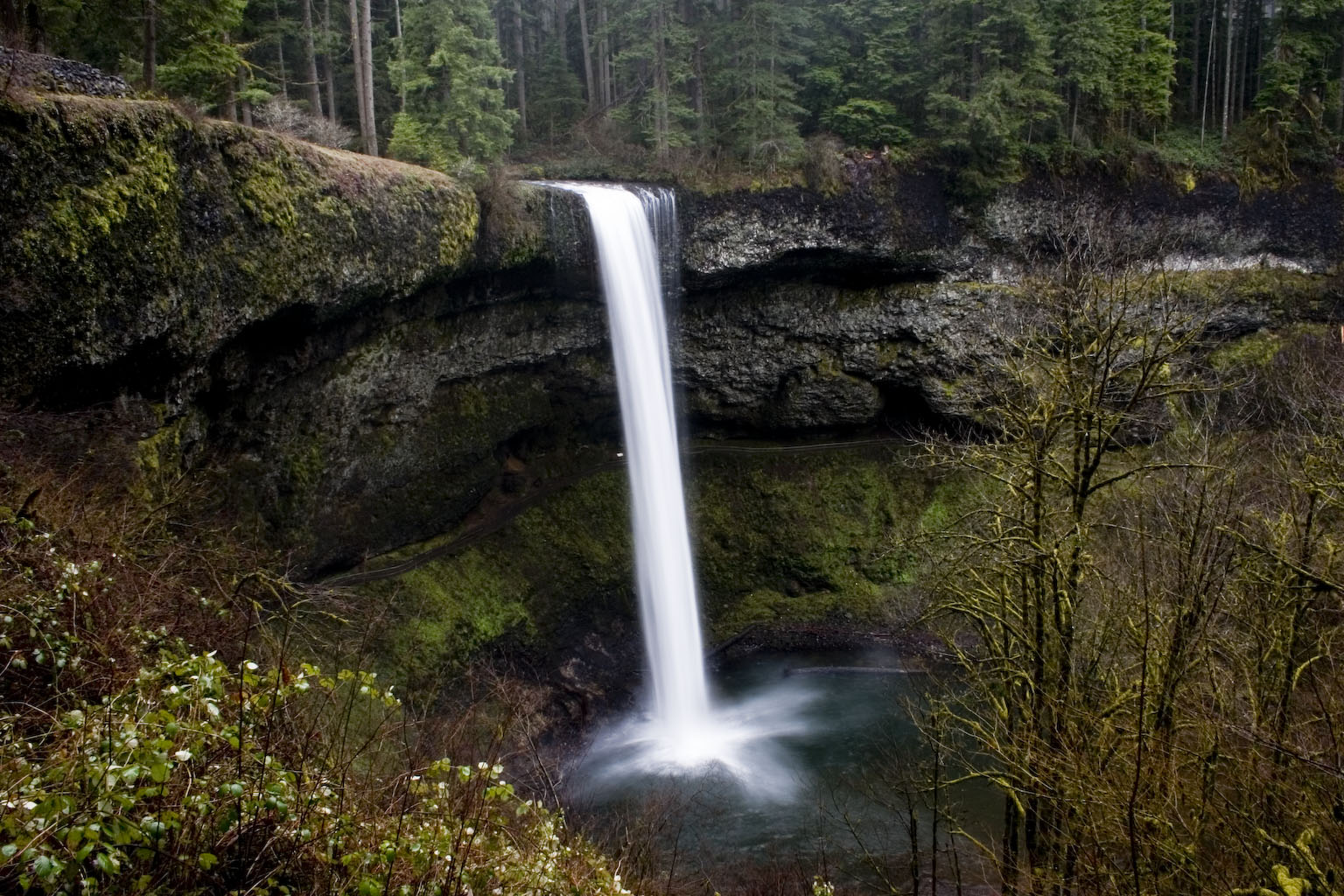 Silver Falls State Park
