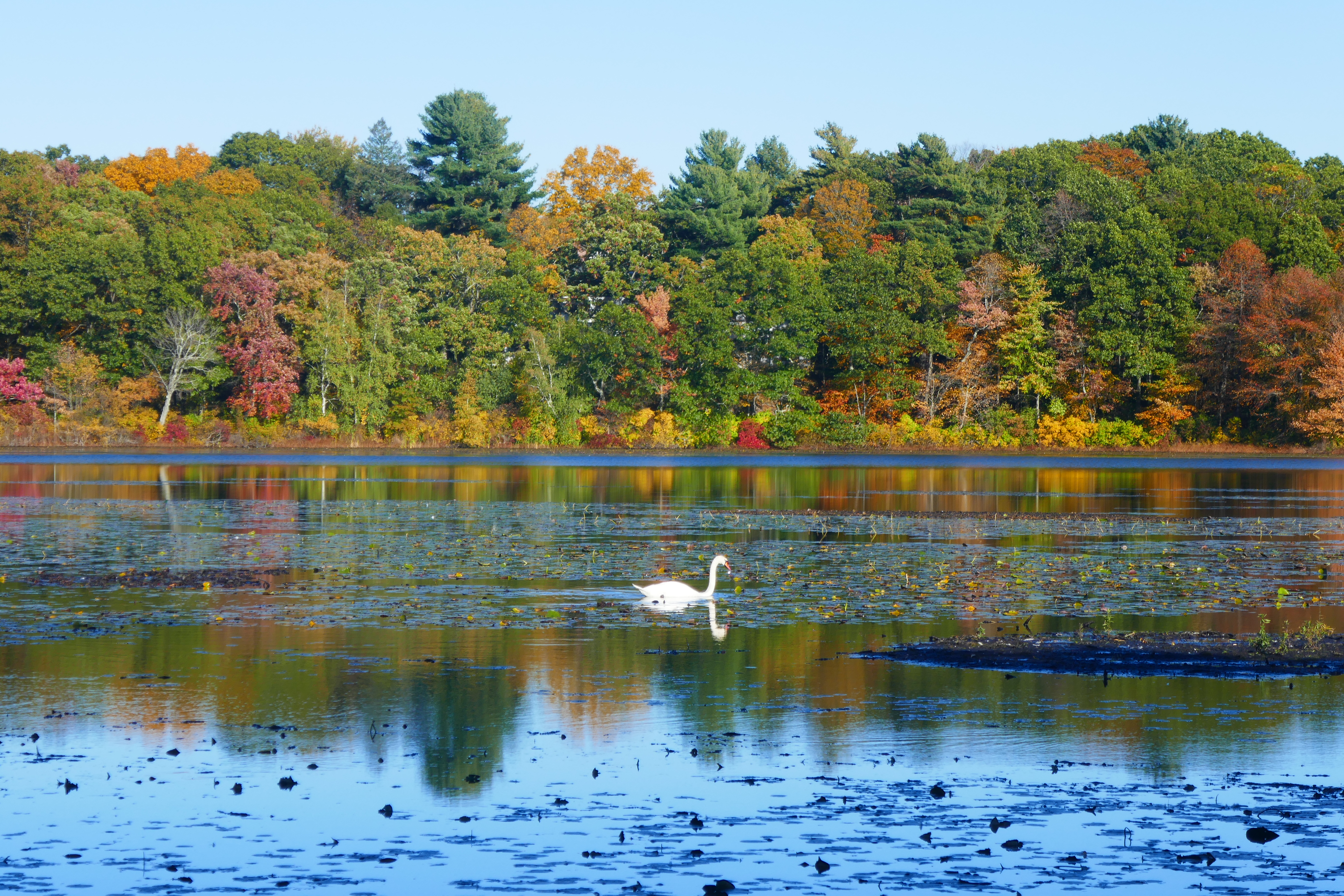 Hammond Pond Reservation State Park