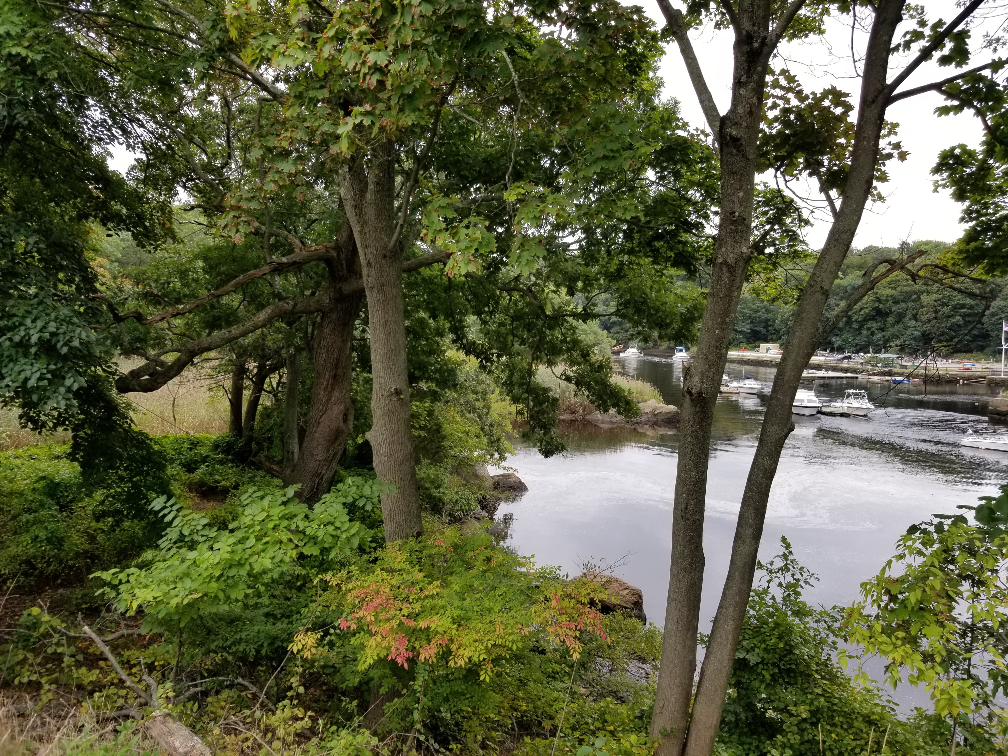 Neponset River Reservation State Park