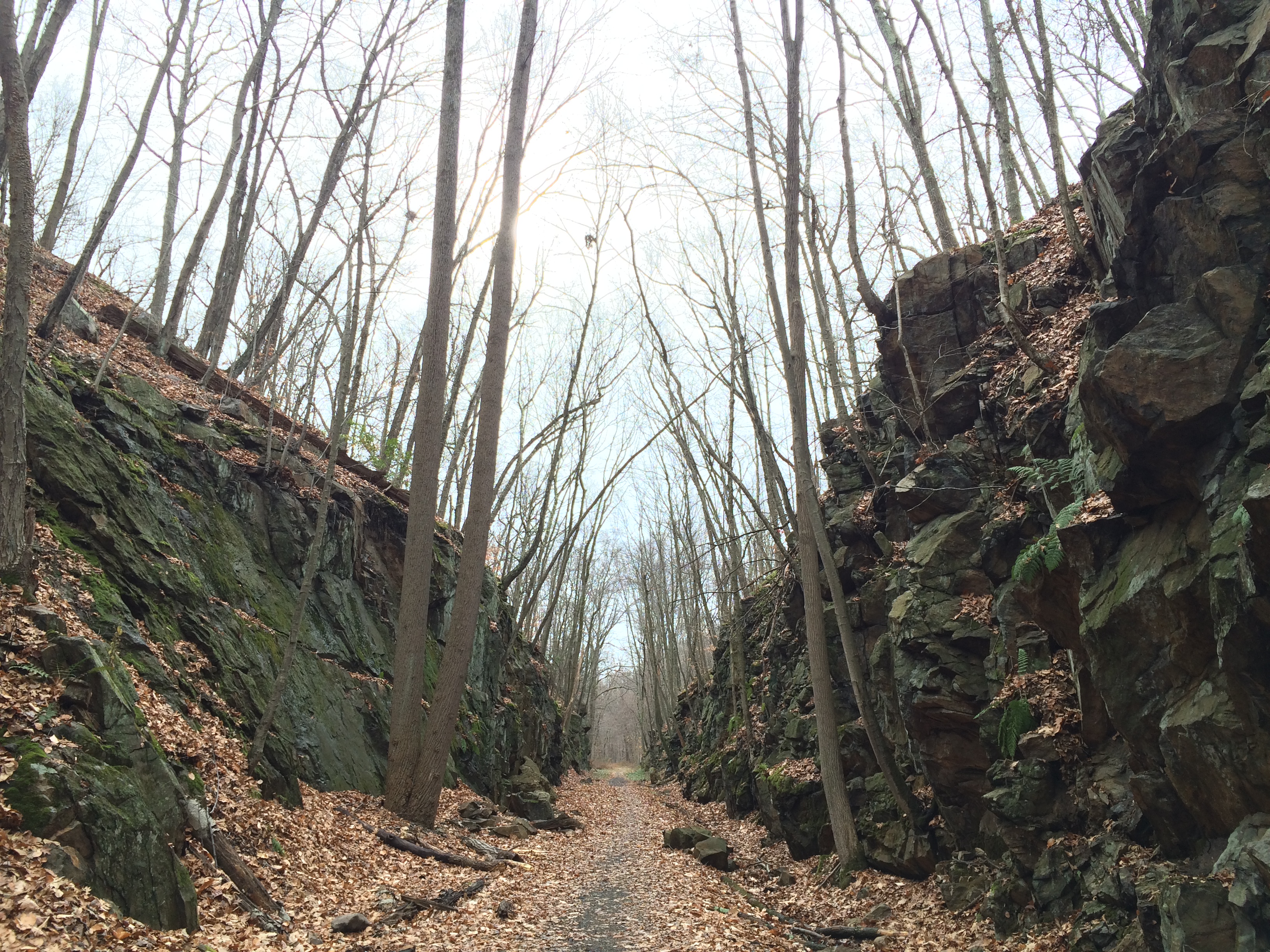 Larkin State Park Trail