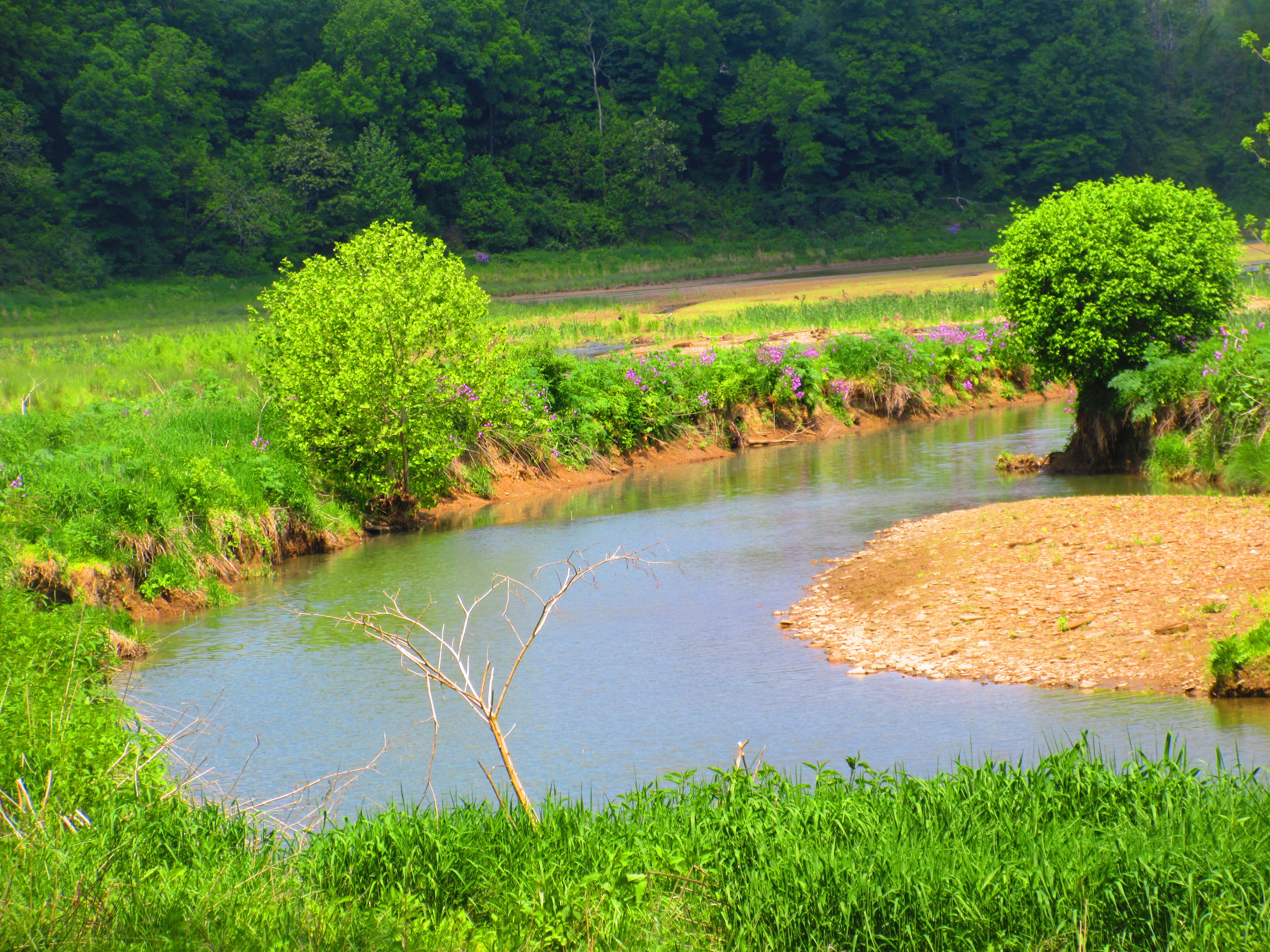 Ryerson Station State Park
