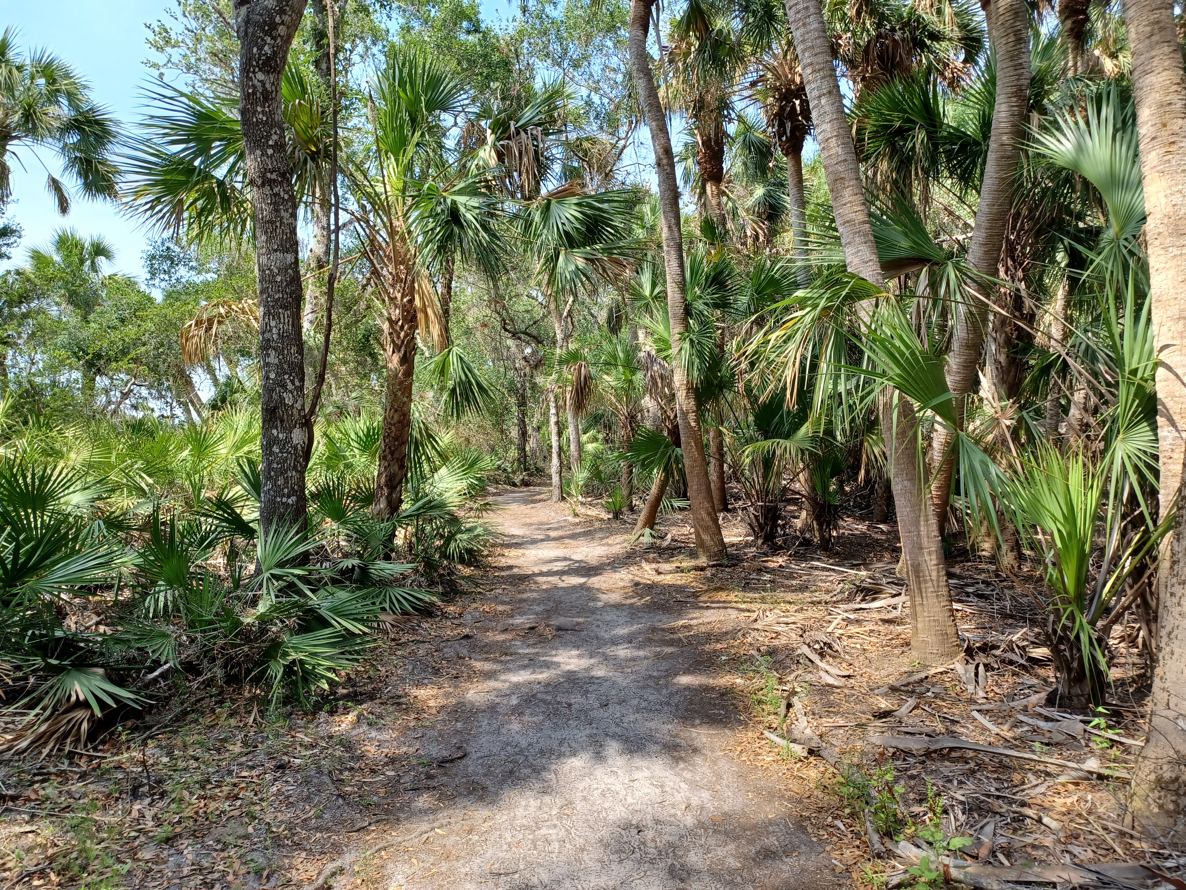 Myakka River State Park