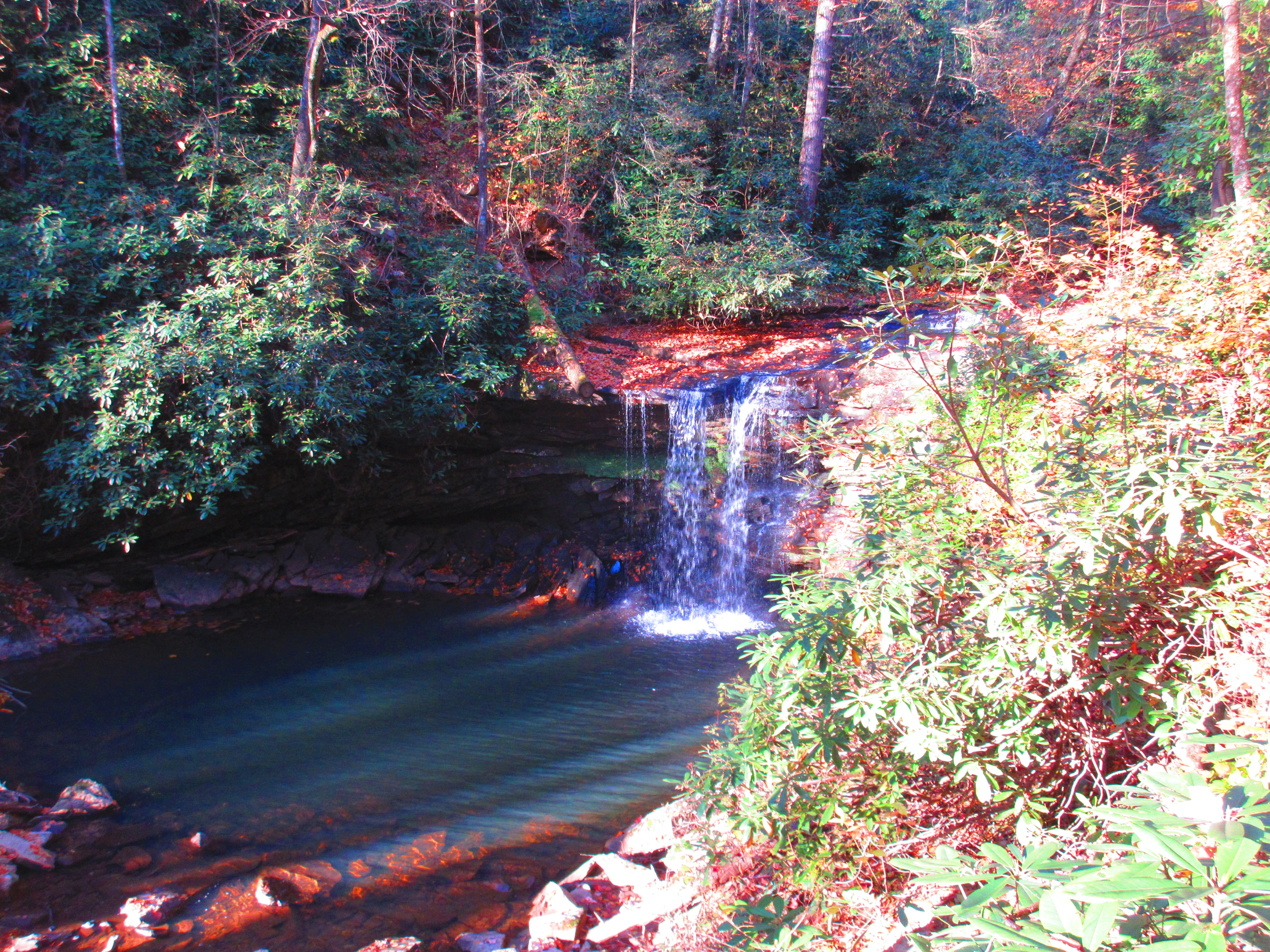 Twin Falls Resort State Park