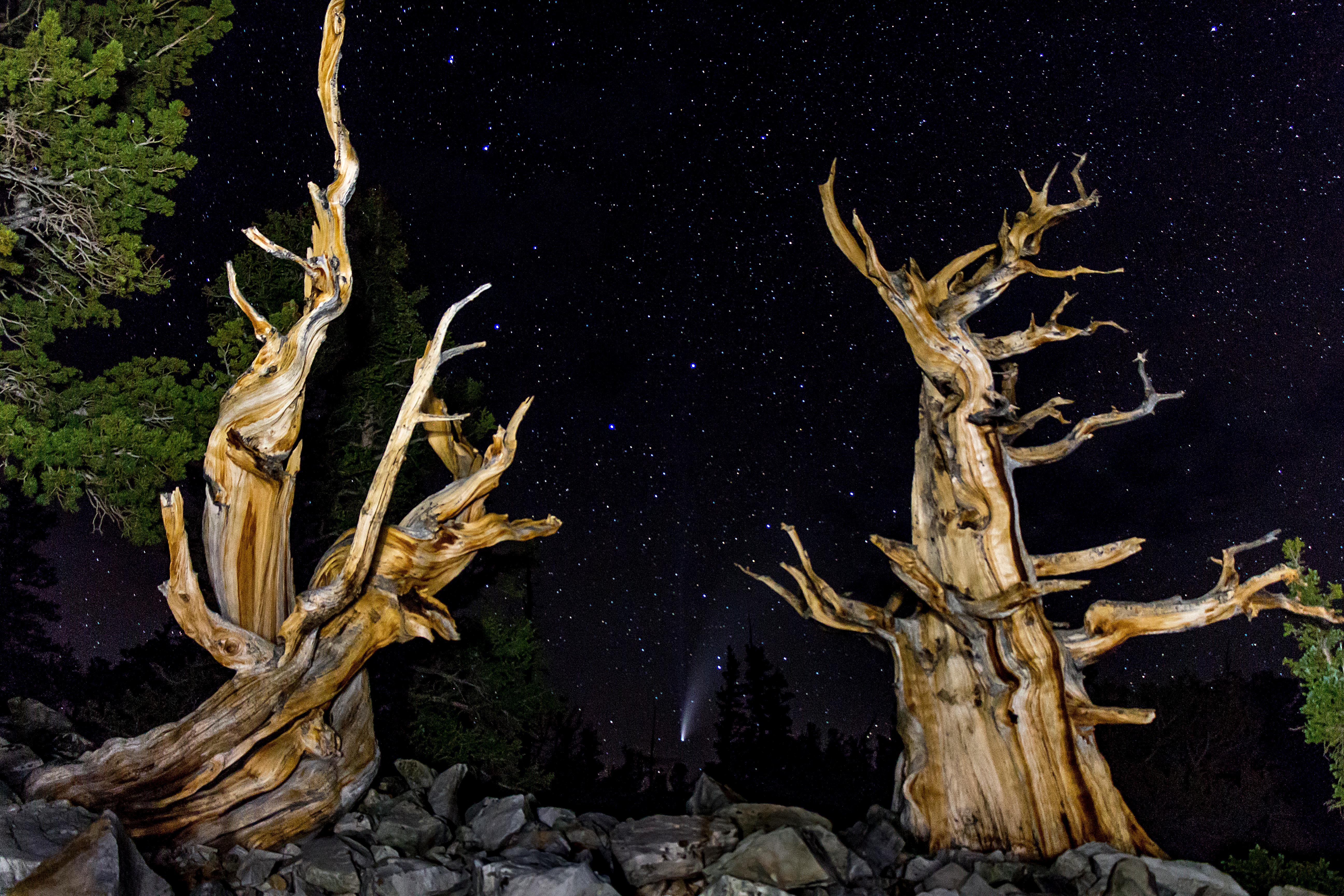 Great Basin National Park