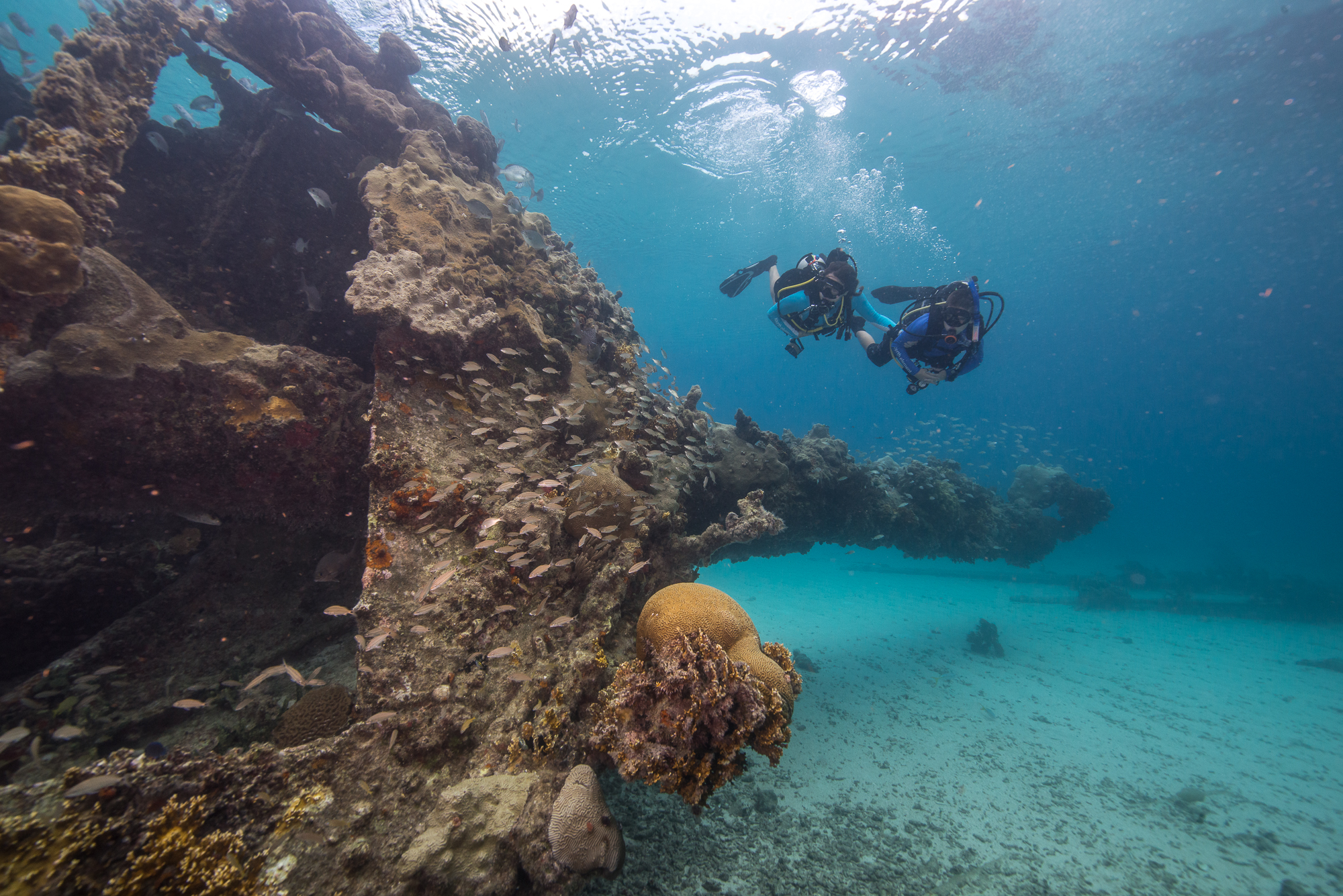 Dry Tortugas National Park