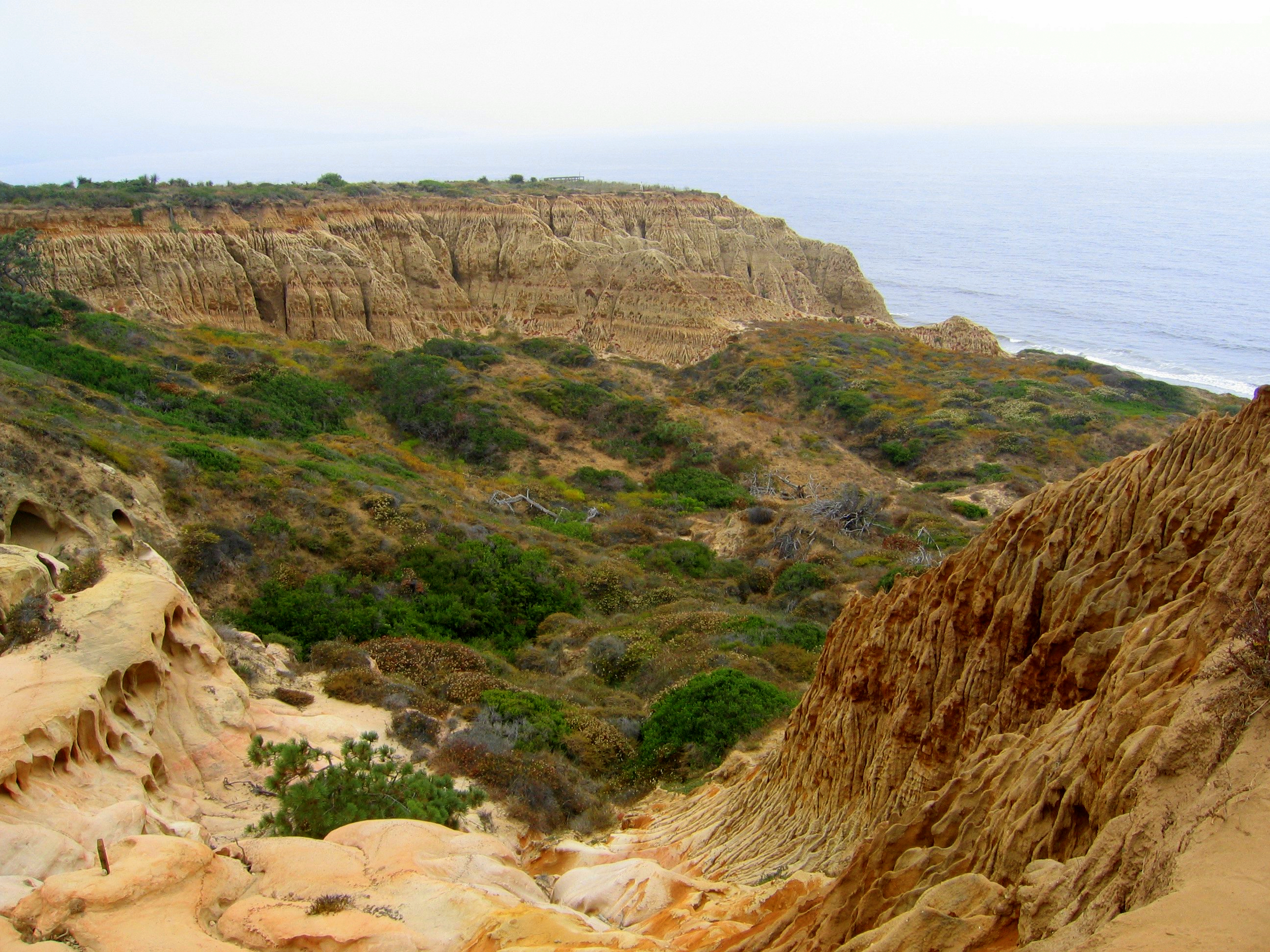 Torrey Pines State Natural Reserve State Park