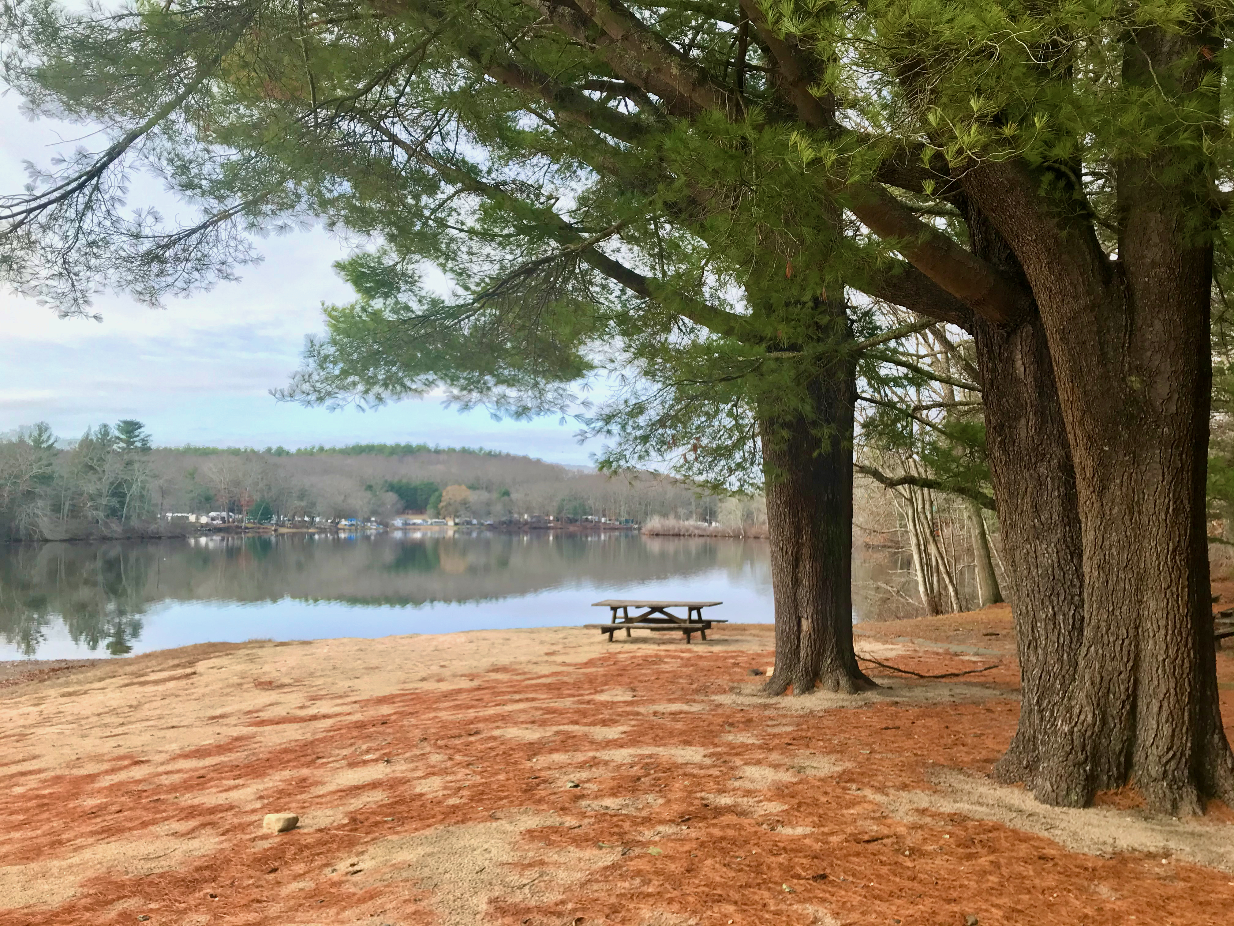 Beach Pond State Park